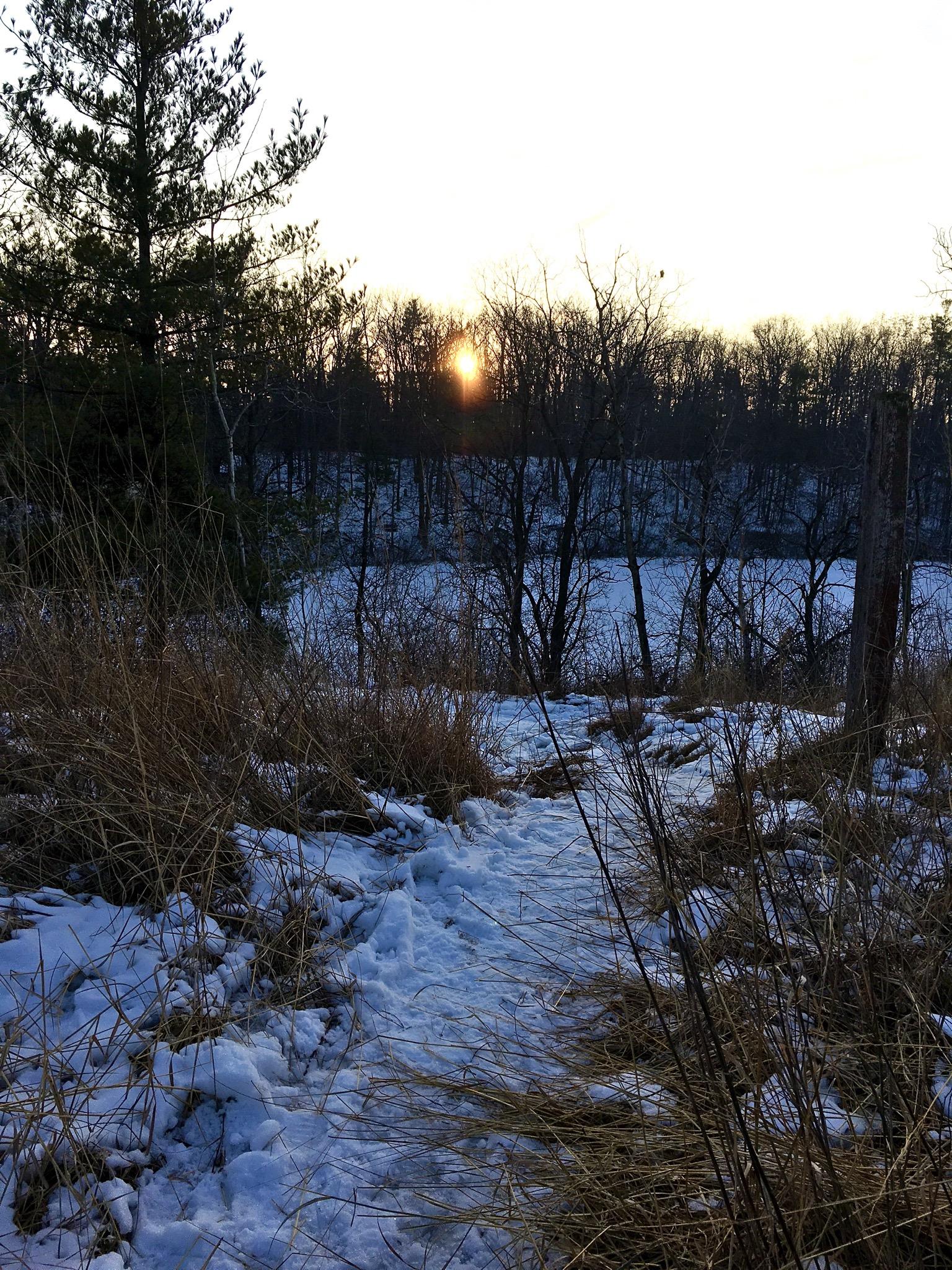 A snow-covered path winding through dry grasses and shrubs, leading through a winter landscape, with the sun setting behind a line of trees in the background. The sky has soft hues of orange and blue. Sudden Forest mountain bike trail.