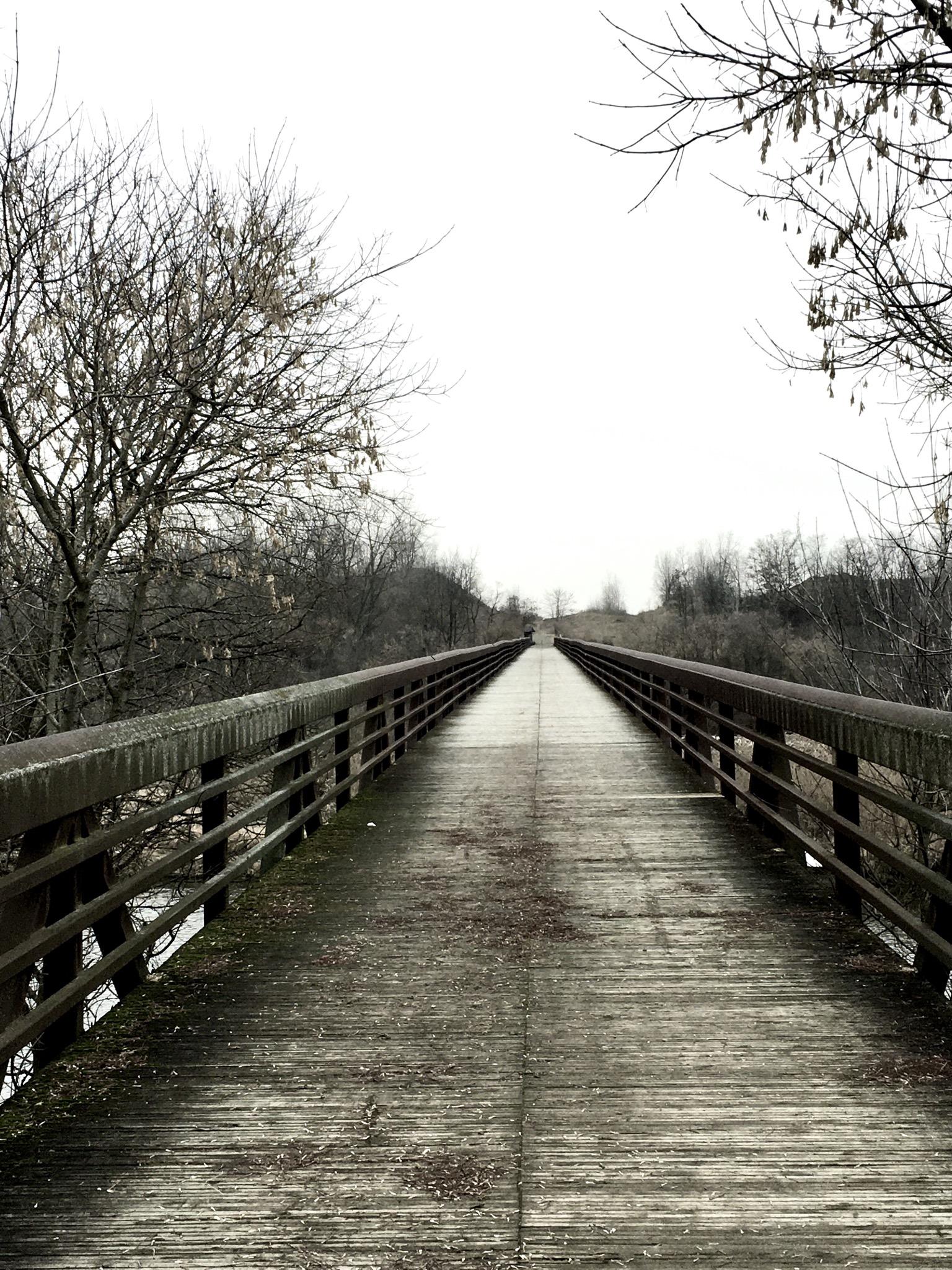 A long wooden bridge stretches into the distance, flanked by bare trees on either side. The scene is set against a gray, overcast sky, creating a somber yet tranquil atmosphere. The bridge features a wooden railing and a slightly weathered surface, with hints of greenery along the edges. Hardy Rd. Trail mountain bike trail.