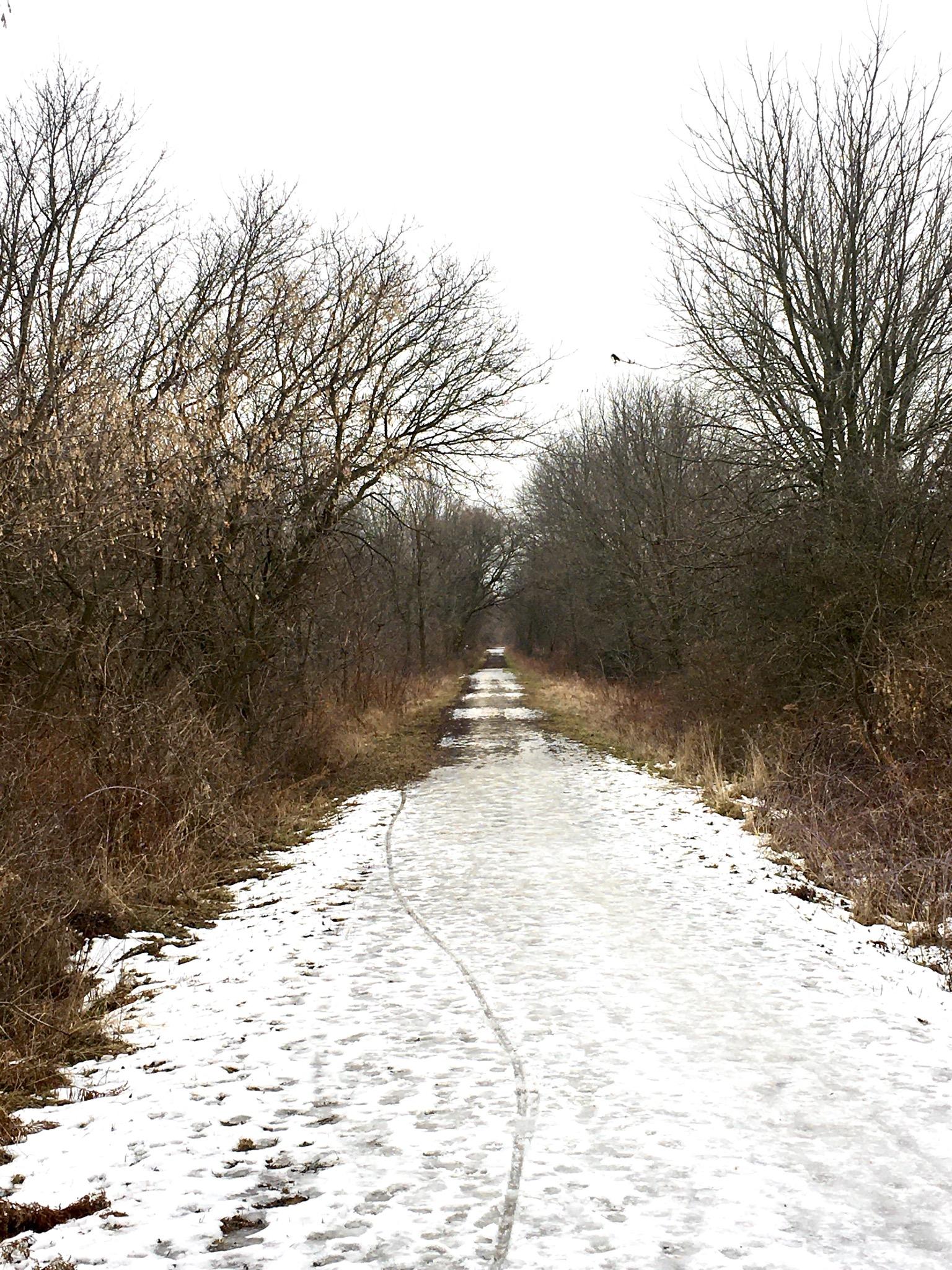 A snow-covered pathway leads through a wooded area, flanked by bare trees and patches of grass. The sky is overcast, creating a muted atmosphere. The trail shows signs of use with clear tracks and is surrounded by sparse vegetation, indicating a winter setting. Hardy Rd. Trail mountain bike trail.