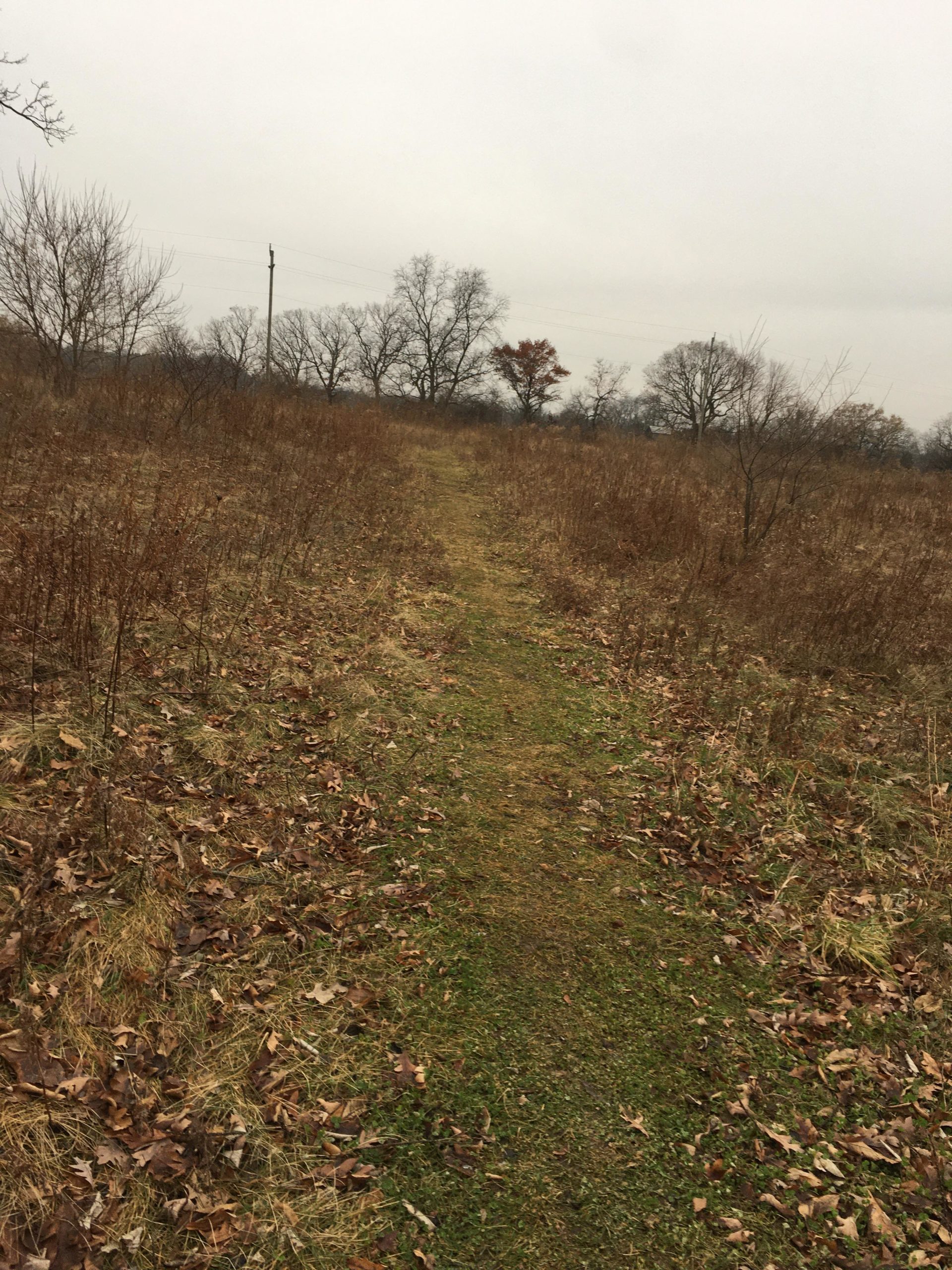 A narrow dirt path winding through a field with sparse vegetation and scattered fallen leaves. Leafless trees are visible in the background against a cloudy sky, creating a tranquil, autumnal landscape. Hardy Rd. Trail mountain bike trail.