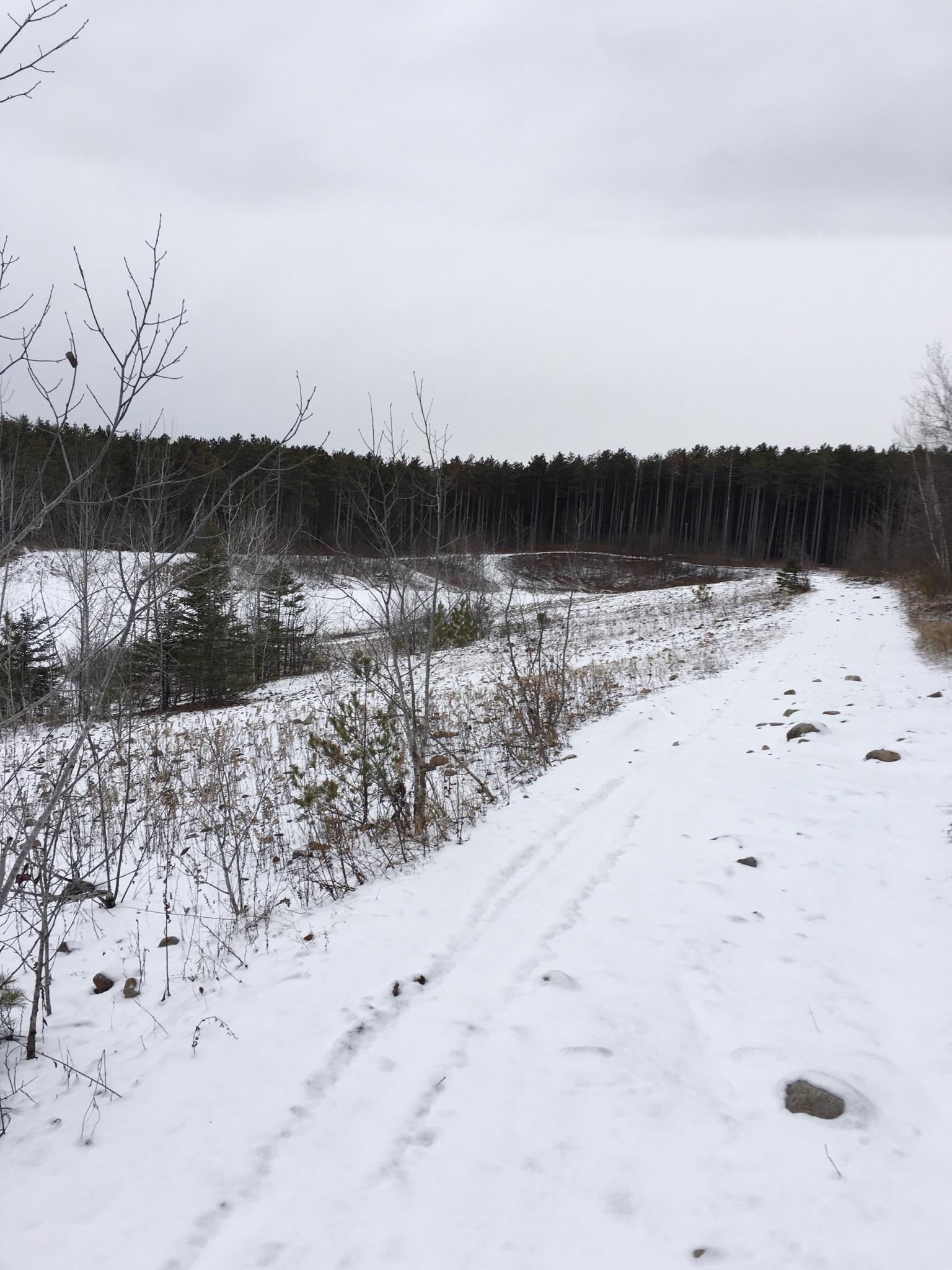 Snow-covered pathway winding through a winter landscape, bordered by bare trees and a dense forest in the background under a cloudy sky. Limerick Forest North and South mountain bike trail.