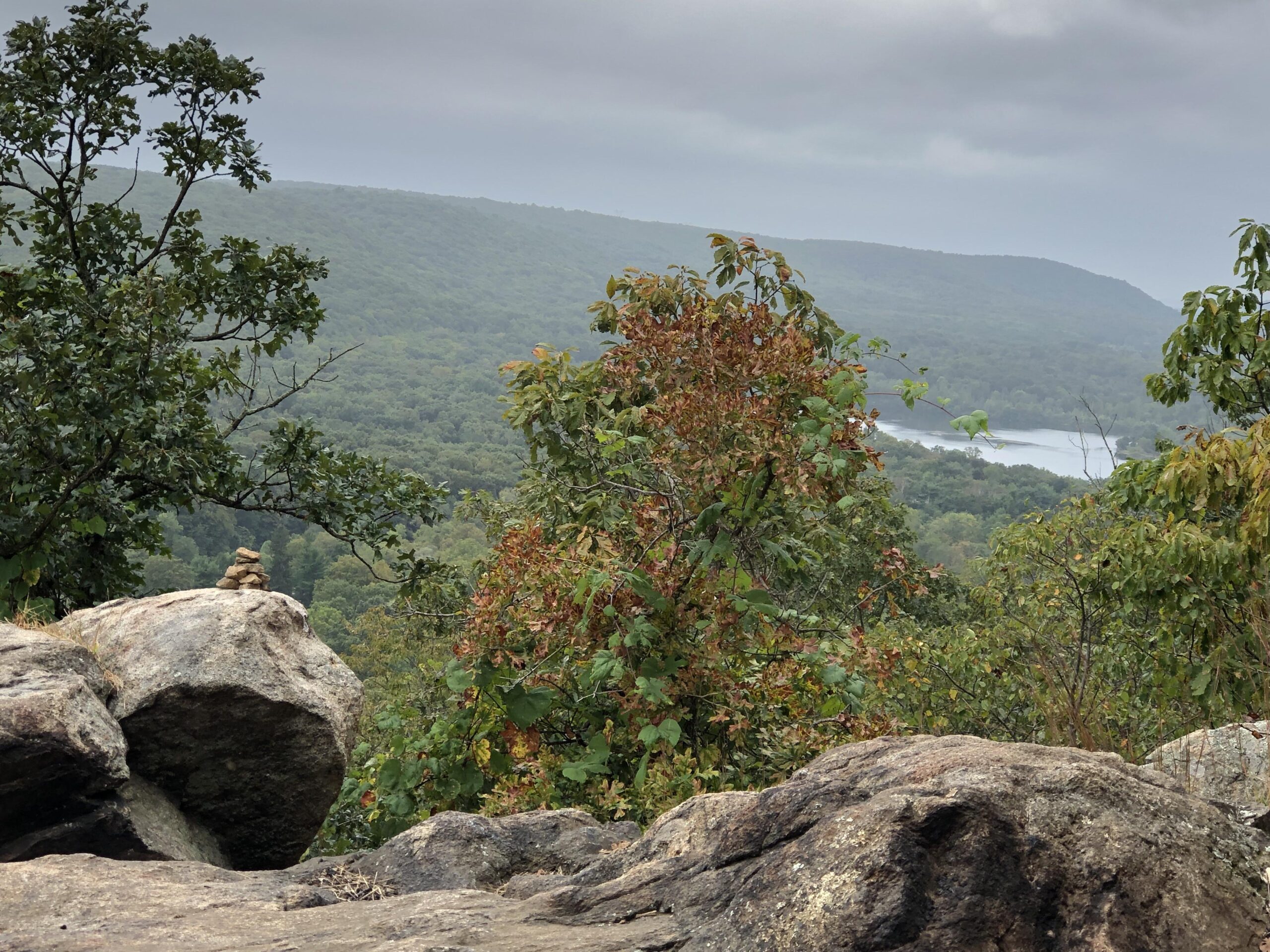 Cannondale Foray 1: A scenic view from a rocky outcrop overlooking a lush green landscape with rolling hills and a winding river in the distance. In the foreground, a small stacked rock formation sits atop a large boulder, surrounded by trees with hints of autumn color. The sky is overcast, adding a soft, muted light to the scene.