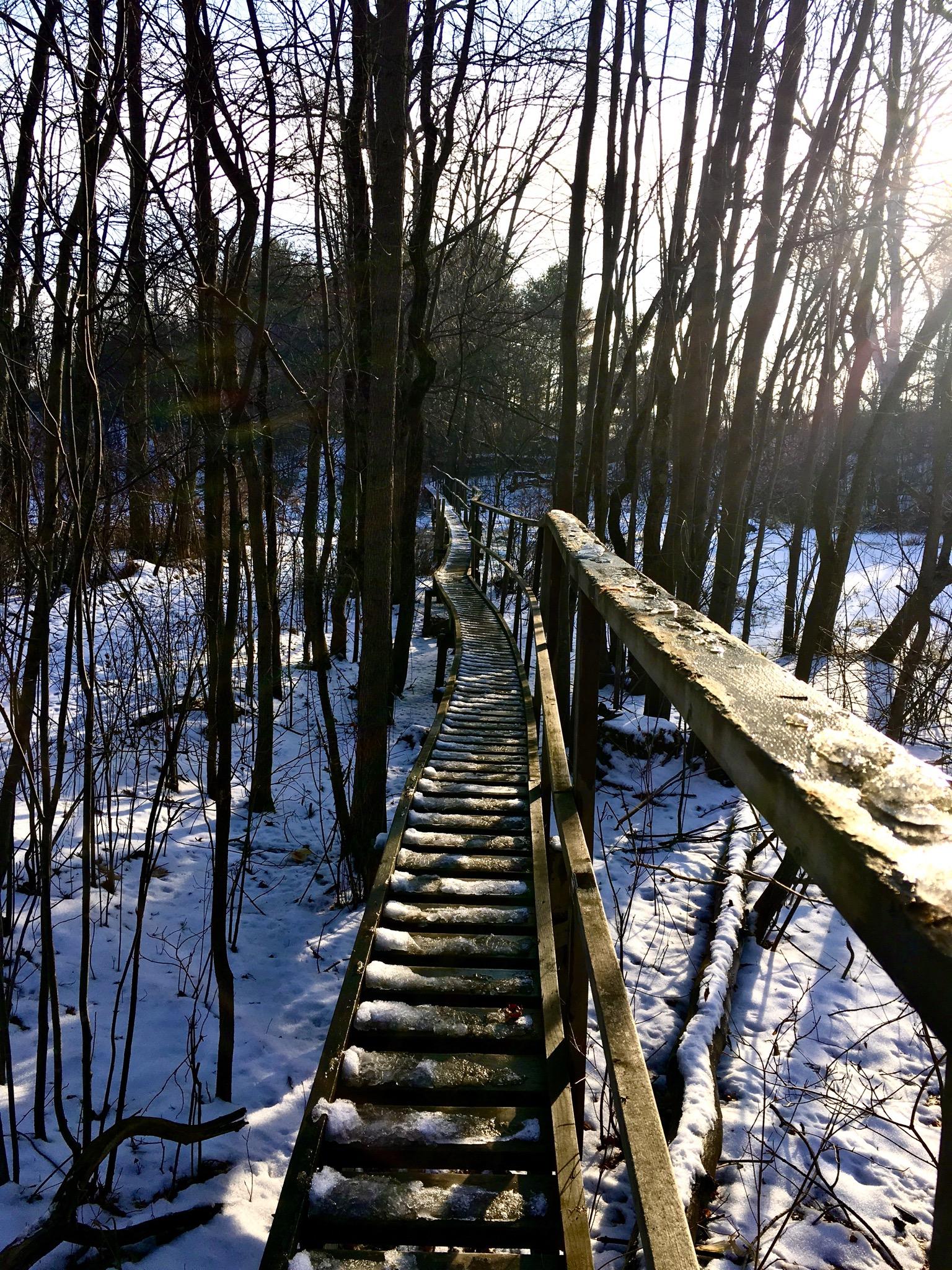 A narrow wooden bridge winding through a snowy forest, flanked by bare tree trunks and illuminated by soft sunlight. Snow covers the ground and the bridge, creating a serene winter atmosphere. Sudden Forest mountain bike trail.