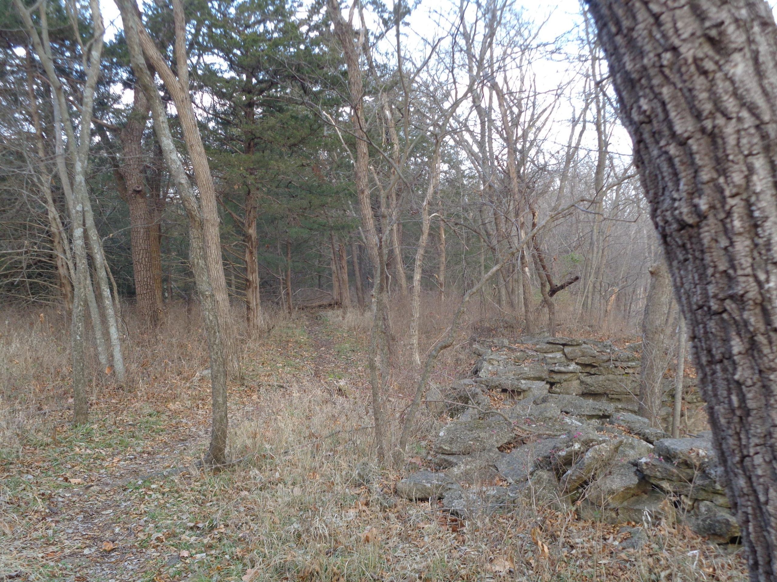 A narrow dirt path winds through a wooded area, flanked by tall trees and patches of dry grass. In the foreground, a stone wall made of stacked rocks is partially visible. The scene is calm and natural, with a mix of bare branches and evergreen foliage above. Lehigh Portland Trails mountain bike trail.