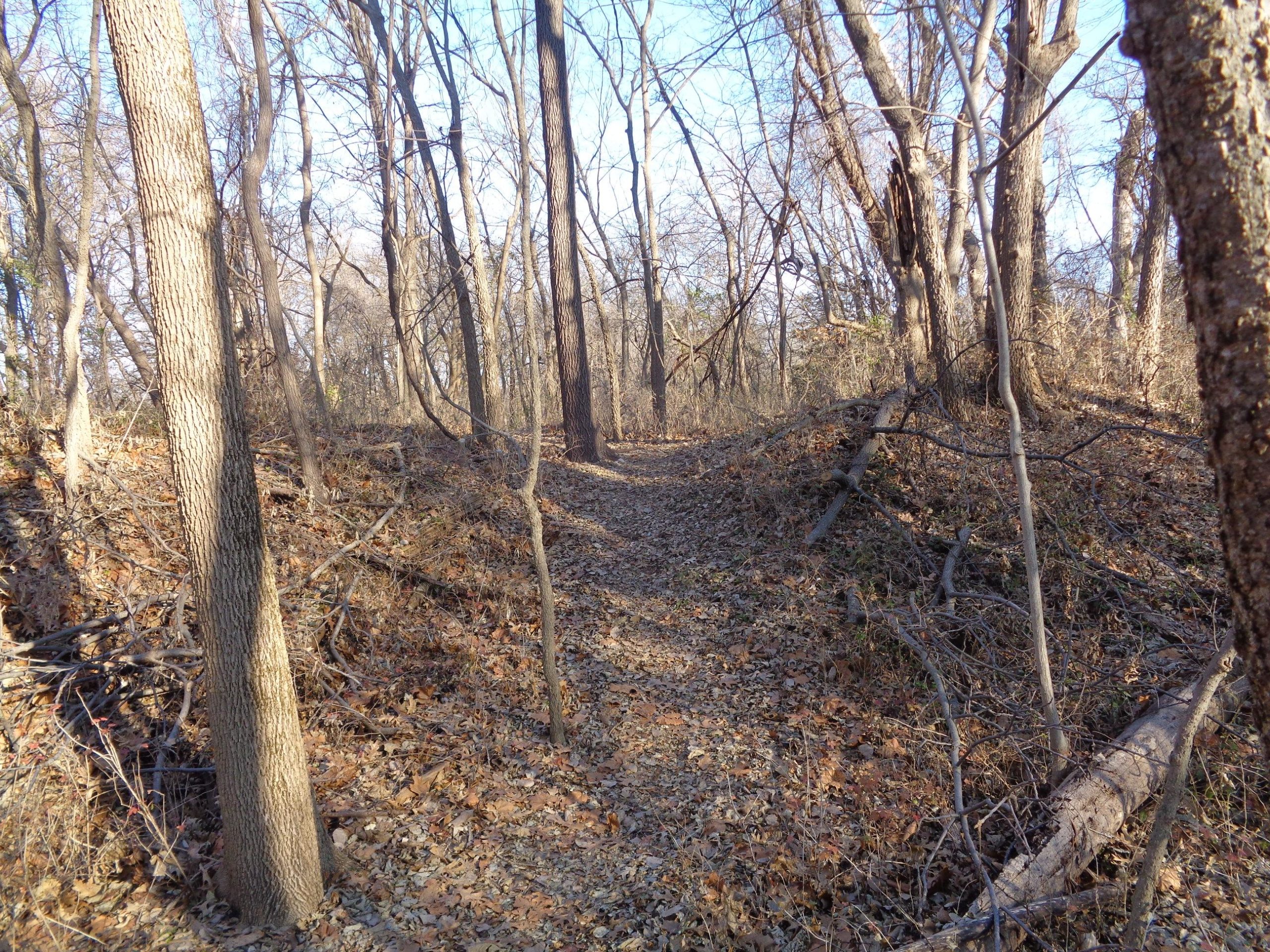 A winding dirt path through a wooded area with bare trees and fallen leaves on the ground, illuminated by sunlight. Lehigh Portland Trails mountain bike trail.