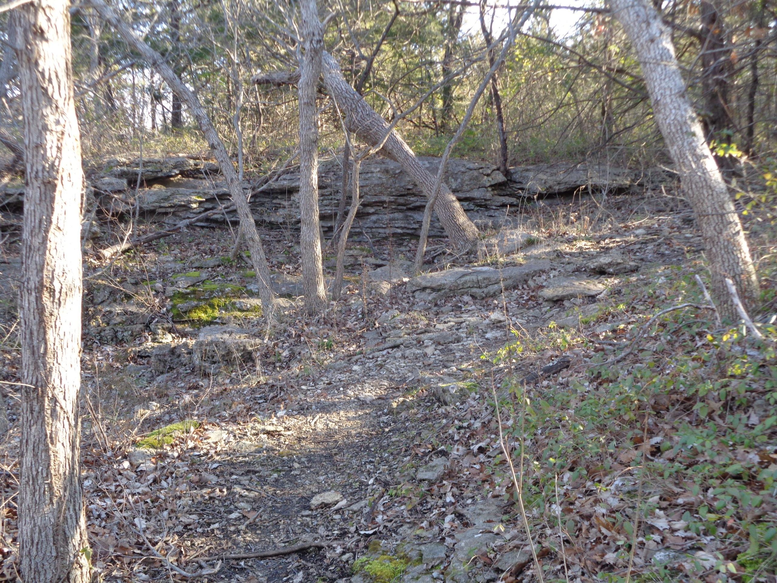 A narrow trail winding through a wooded area with scattered leaves, exposed rocks, and trees with sparse foliage. Sunlight filters through the branches, illuminating patches of green moss on the rocks. Lehigh Portland Trails mountain bike trail.