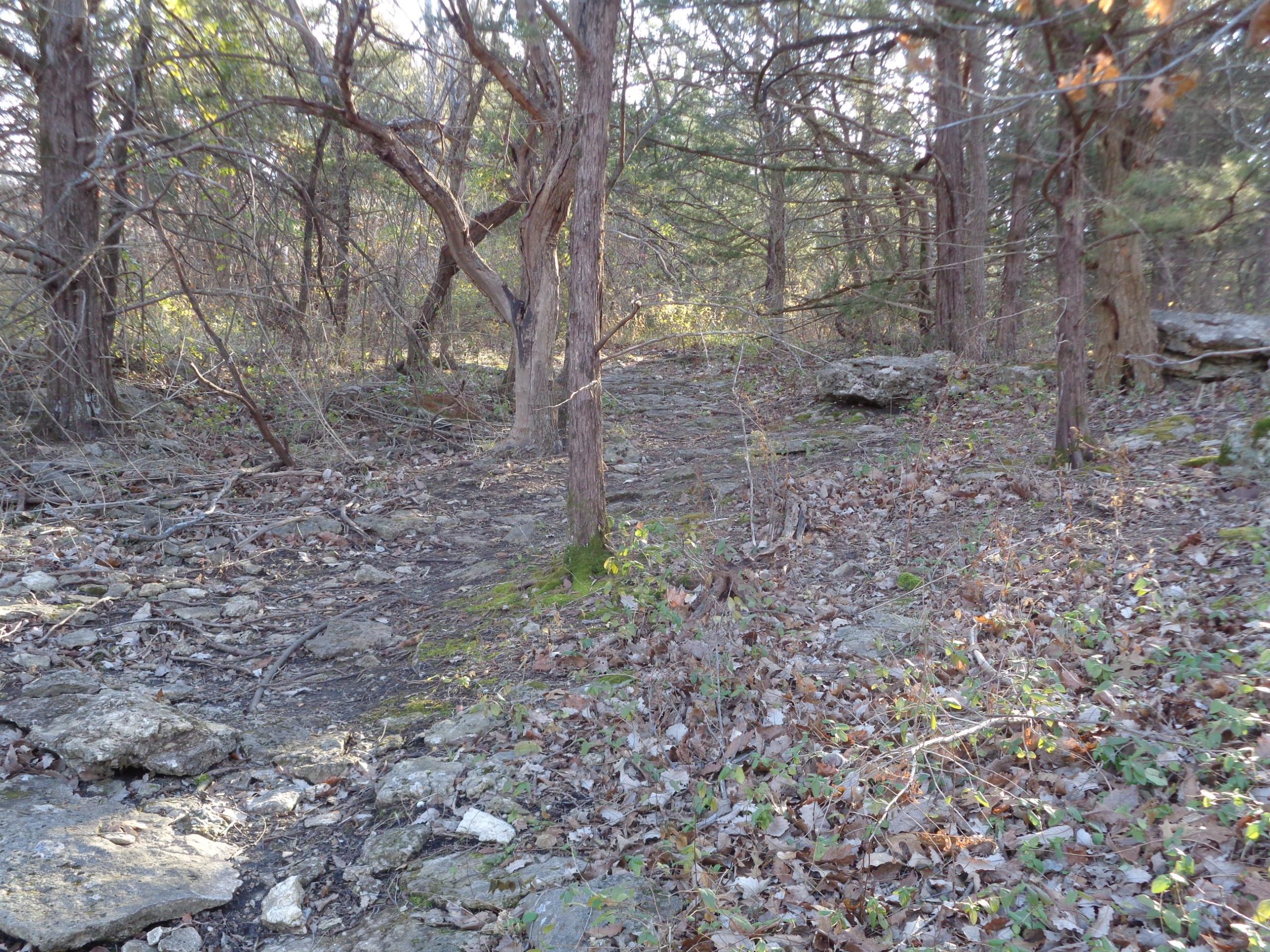 A wooded trail winding through a forest, surrounded by trees and rocky terrain covered with fallen leaves and underbrush. Sunlight filters through the branches, creating a serene, natural atmosphere. Lehigh Portland Trails mountain bike trail.