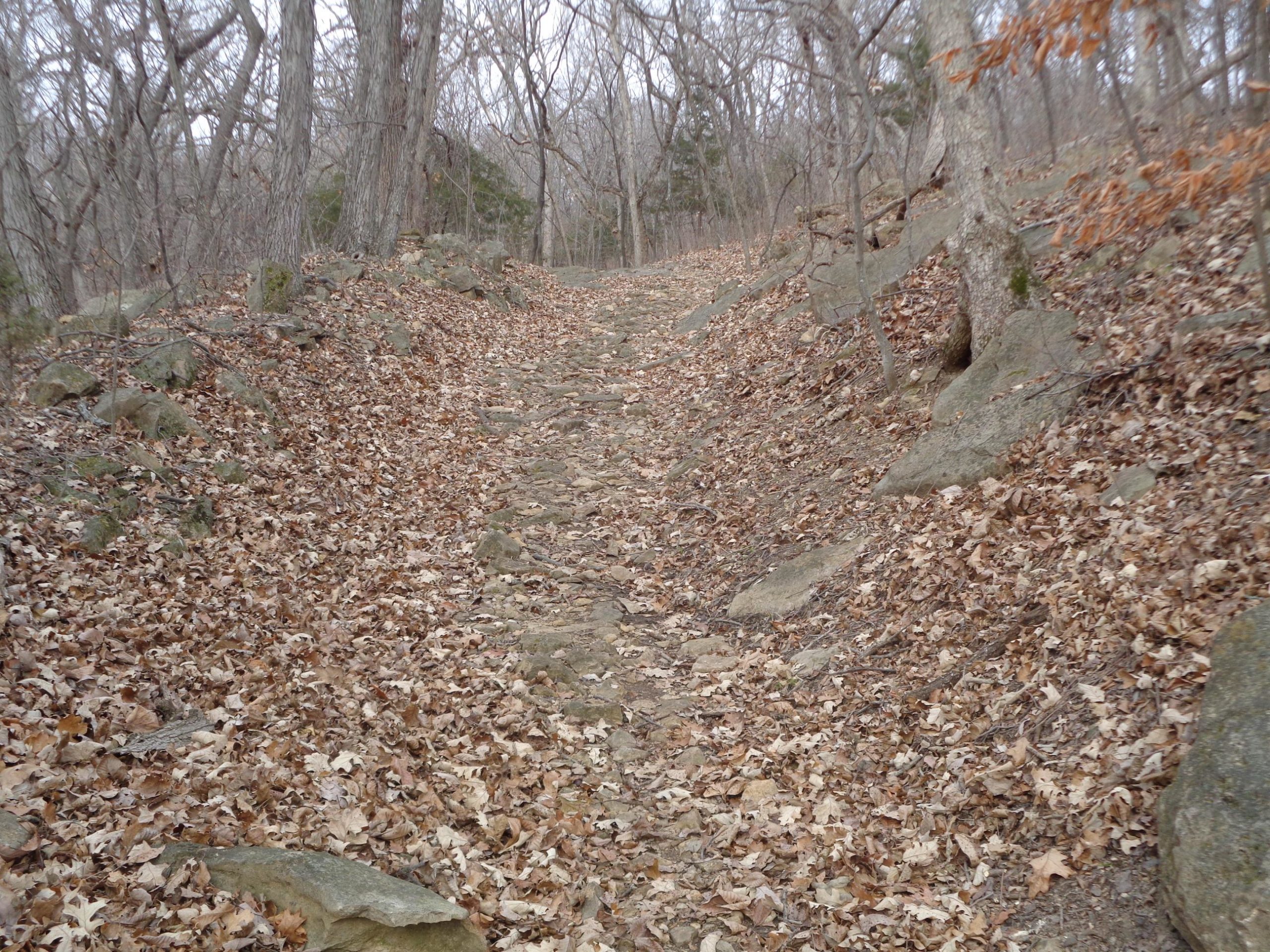A narrow dirt path winding through a wooded area, flanked by bare trees and scattered rocks. The ground is covered with a layer of dry, fallen leaves, creating a natural, earthy aesthetic. The scene is quiet and serene, suggesting a peaceful outdoor setting, likely in late autumn or early winter. Perry Lake Bike Trail mountain bike trail.