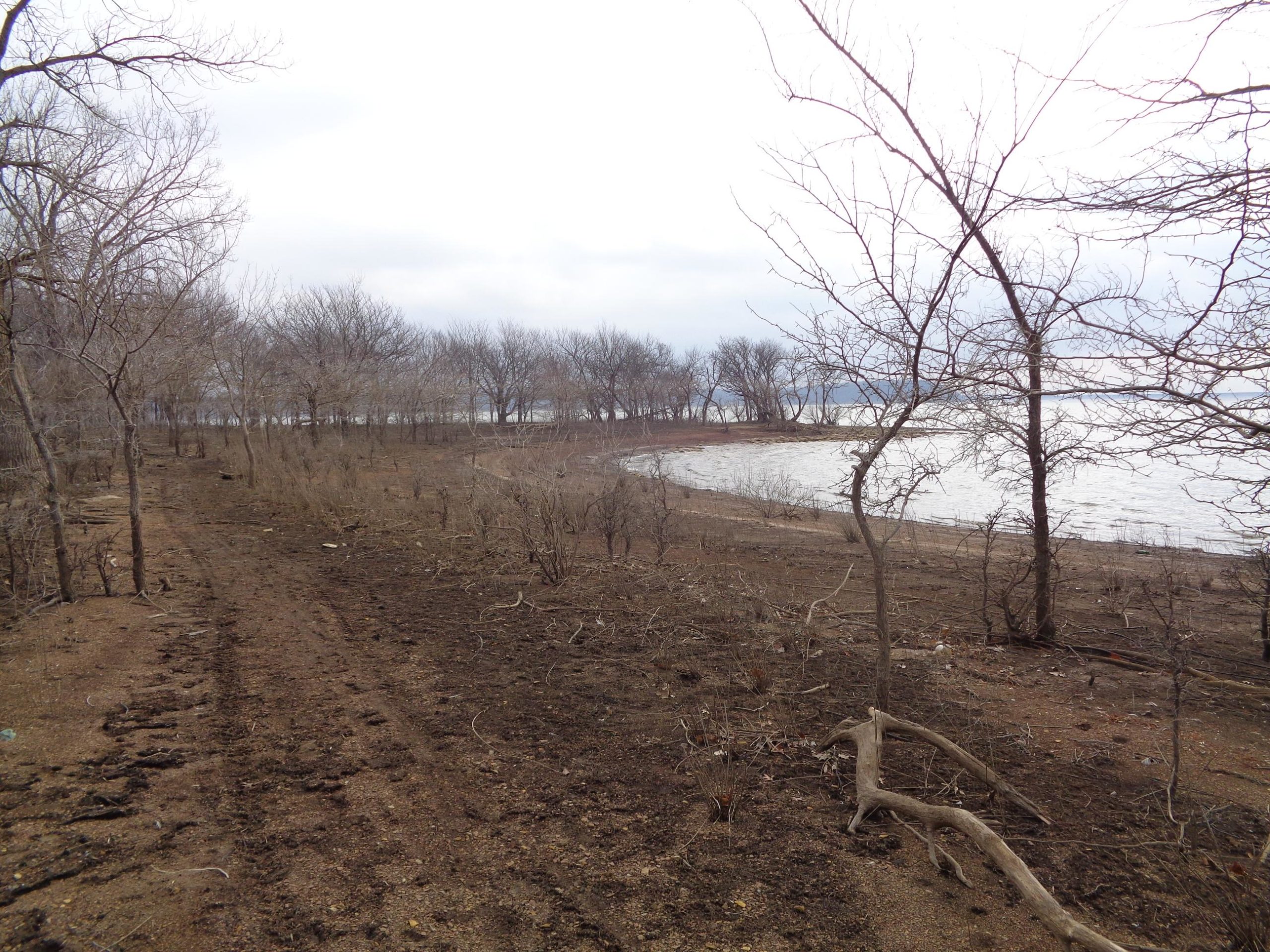 Bare, dried-out shoreline with sparse, leafless trees lining the edge of a body of water. The ground is mostly bare soil with some tracks visible in the dirt, and the sky is overcast, creating a muted atmosphere. Perry Lake Bike Trail mountain bike trail.