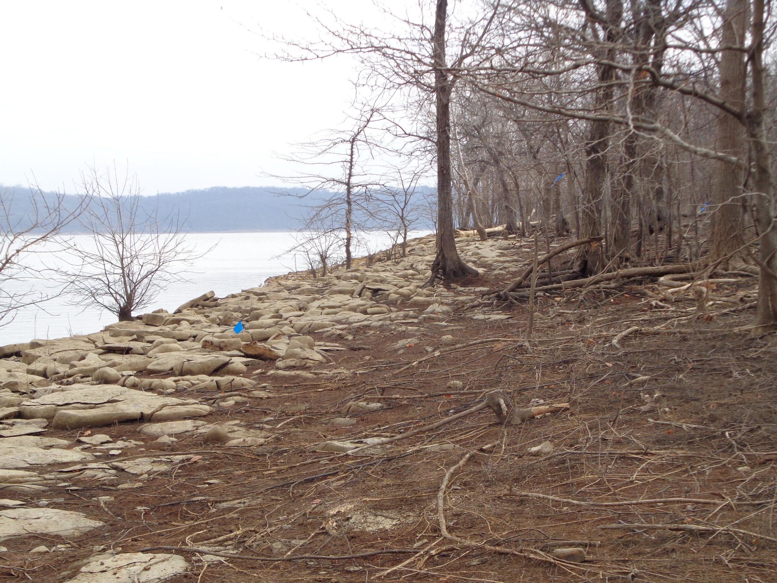 A rocky shoreline along a lake with sparse, leafless trees in the background. The scene is overcast, with a calm water surface reflecting the muted sky. A few scattered twigs and branches are visible on the ground, enhancing the natural setting. Perry Lake Bike Trail mountain bike trail.