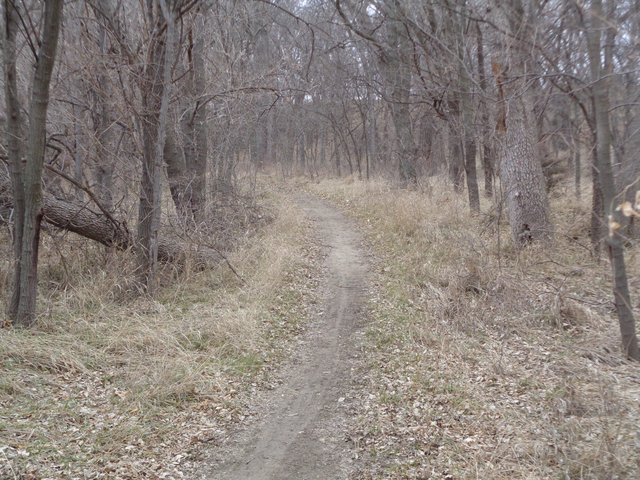 A winding dirt path through a forested area, surrounded by bare trees and patches of dry grass, under a cloudy sky. Shady Bend Trail mountain bike trail.