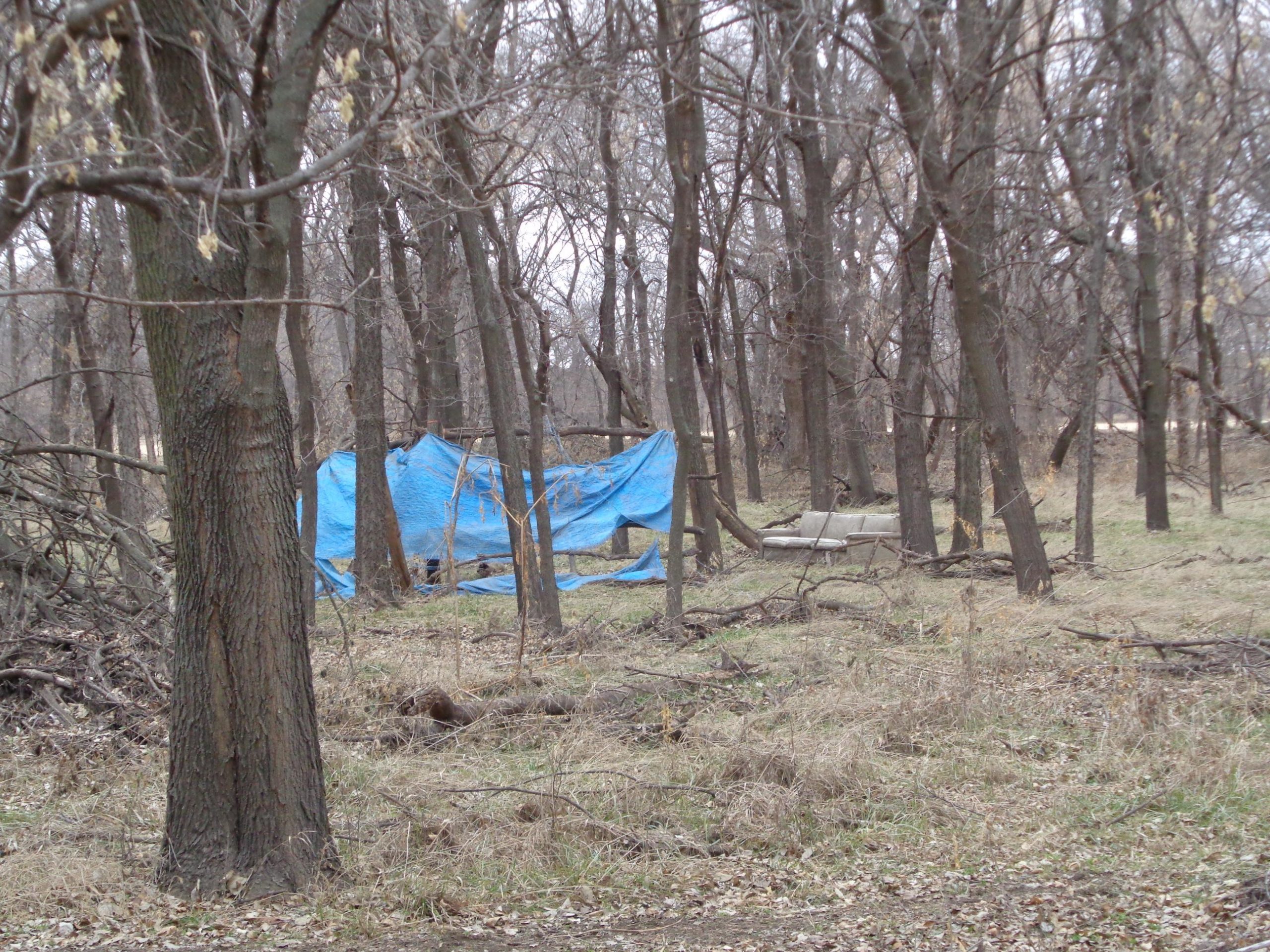 A makeshift shelter covered with a blue tarpaulin, situated among sparse trees in a wooded area. In the foreground, a tree trunk is visible, while dry grass and fallen branches scatter across the ground, contributing to the natural, earthy setting. Shady Bend Trail mountain bike trail.