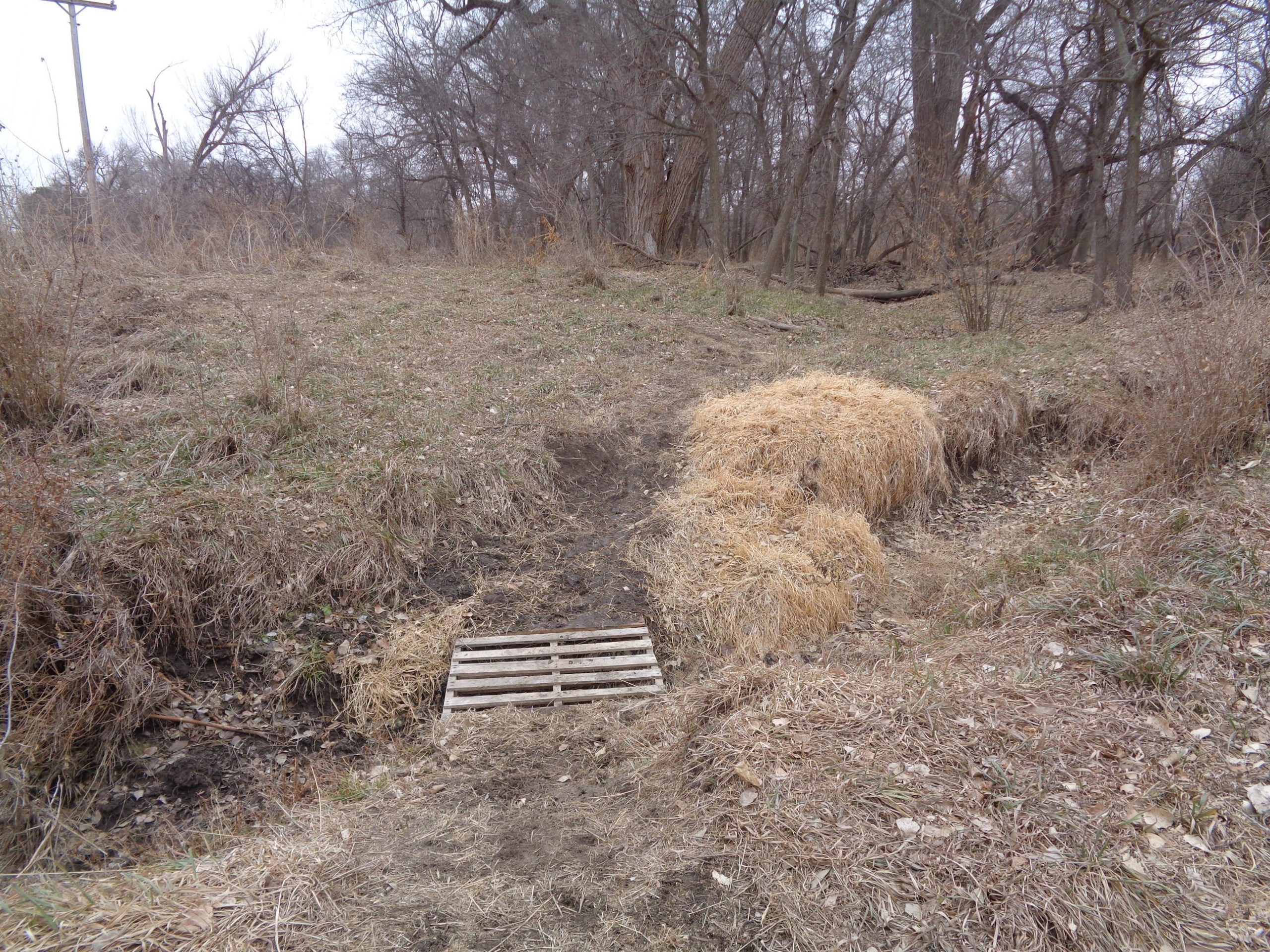 A shallow ditch with a wooden pallet bridge covered in straw, surrounded by bare trees and dry grass in a wooded area. The sky is overcast, indicating a cool, possibly early spring day. Shady Bend Trail mountain bike trail.