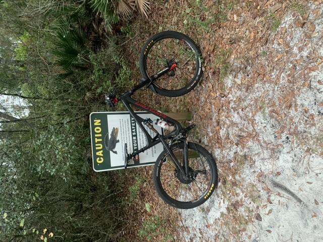 Santa Cruz Bronson: A mountain bike with black and red accents is leaning against a caution sign surrounded by dense greenery and fallen leaves. The sign appears to warn about safety in the area. The ground is sandy, indicating a nature trail or park setting.