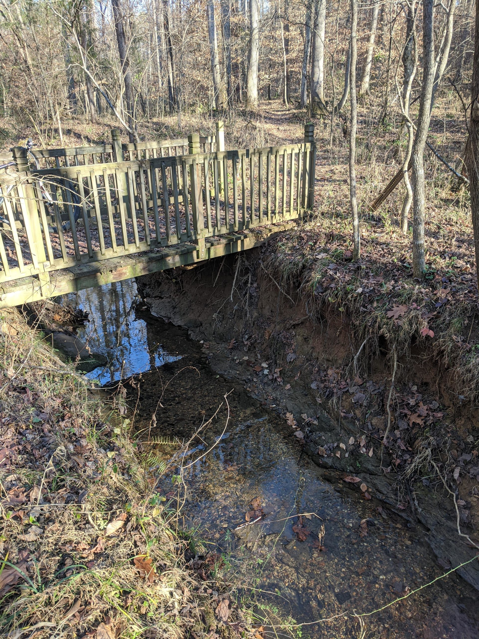 A wooden bridge spans a narrow, shallow creek surrounded by trees and fallen leaves in a forested area. The sunlight filters through the branches, casting a serene atmosphere. The creek contains clear water, reflecting the surrounding nature. Horizons Park mountain bike trail.