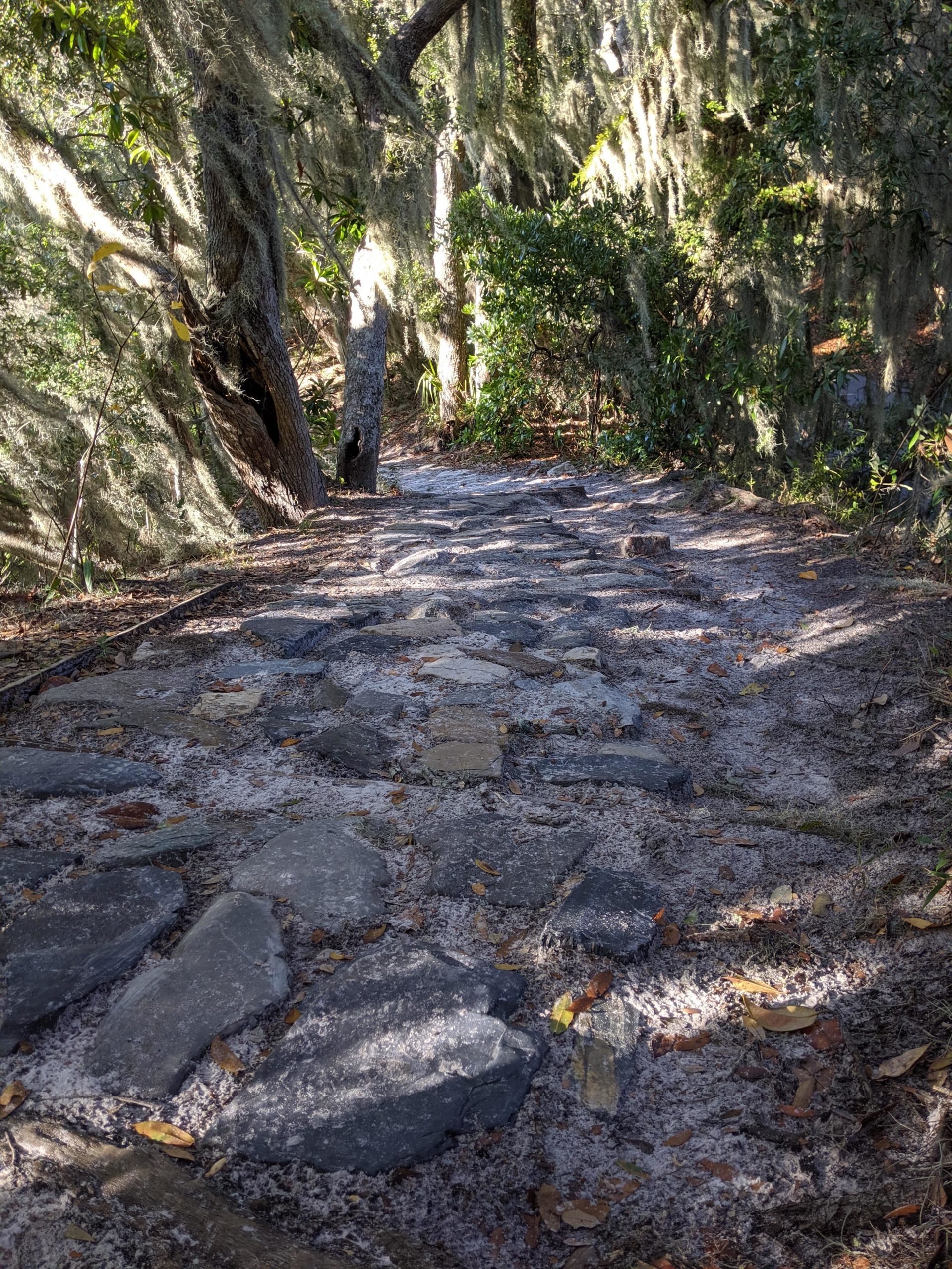 A winding stone pathway through a lush, green wooded area, lined with trees draped in moss. The path is partly covered in soft earth and scattered fallen leaves, leading towards a brighter area in the distance. Ft. Clinch State Park mountain bike trail.