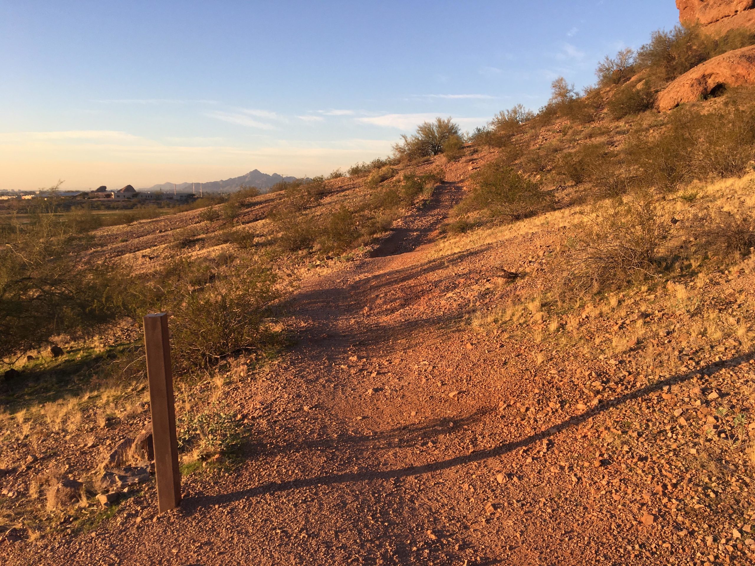 A dirt path winding through a desert landscape, with shrubs and grass lining the sides. In the background, mountains can be seen under a clear blue sky, illuminated by warm sunlight. A wooden post stands along the trail, adding to the natural setting. Papago Park Area mountain bike trail.