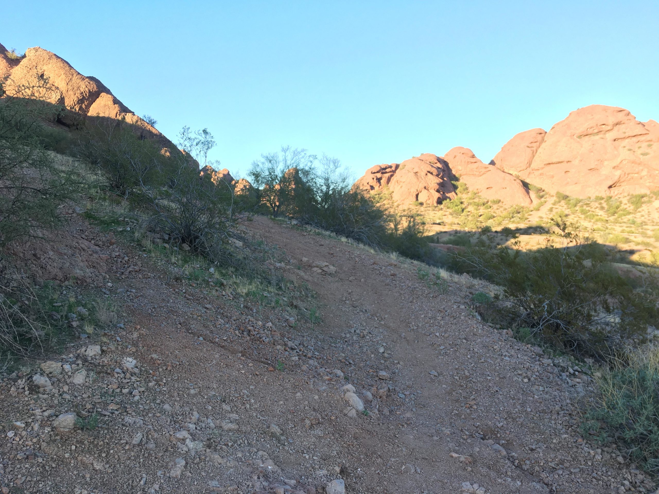 A winding dirt trail leading up a rocky hillside, surrounded by sparse vegetation and rugged mountains under a clear blue sky. The sun casts a warm glow on the rocky formations in the background. Papago Park Area mountain bike trail.
