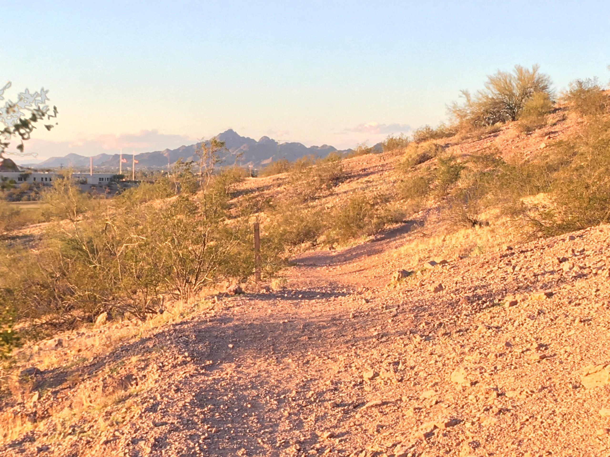A sandy trail winding through a desert landscape, with sparse vegetation and rocky terrain. In the background, distant mountains are visible under a partly cloudy sky, suggesting a serene and remote outdoor setting. Papago Park Area mountain bike trail.