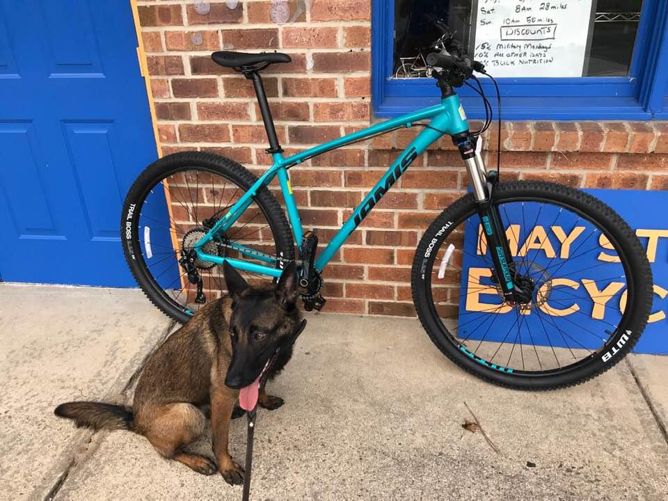 A mountain bike in teal color parked next to a brown dog sitting on the ground, with a blue door and a sign that reads "MAY ST BICYCL" in the background. The scene is set outside what appears to be a bicycle shop.
