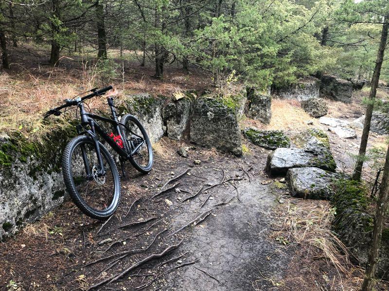 A mountain bike resting against a rocky outcrop on a forest trail, surrounded by pine trees and uneven terrain. The path is marked by exposed roots and scattered stones, with dry grass peeking through the soil in the background. Fancy Creek State Park mountain bike trail.