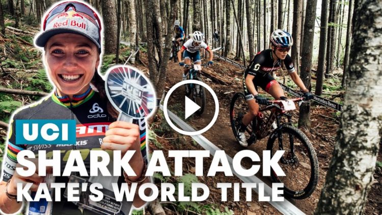 uci dh world cup schedule 2019