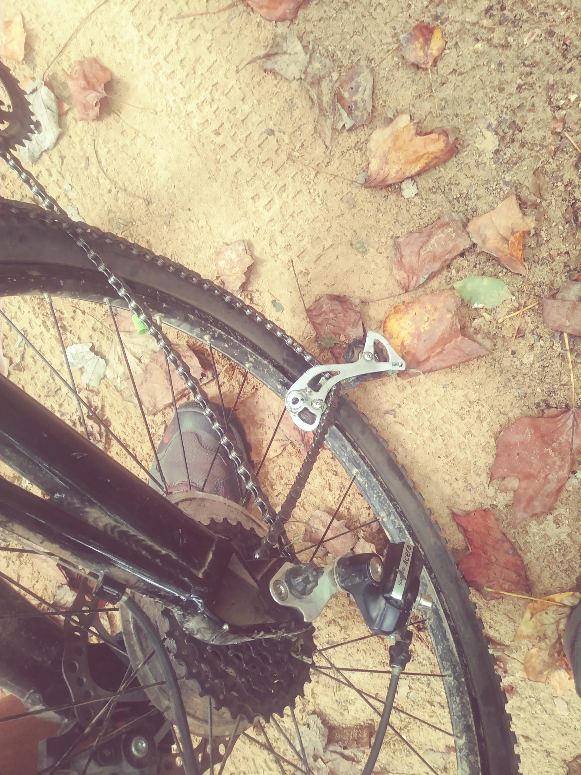 Close-up view of a bicycle chain and rear derailleur resting on a dirt path covered with autumn leaves. A foot in a hiking shoe is partially visible next to the bike. Oak Mountain State Park mountain bike trail.