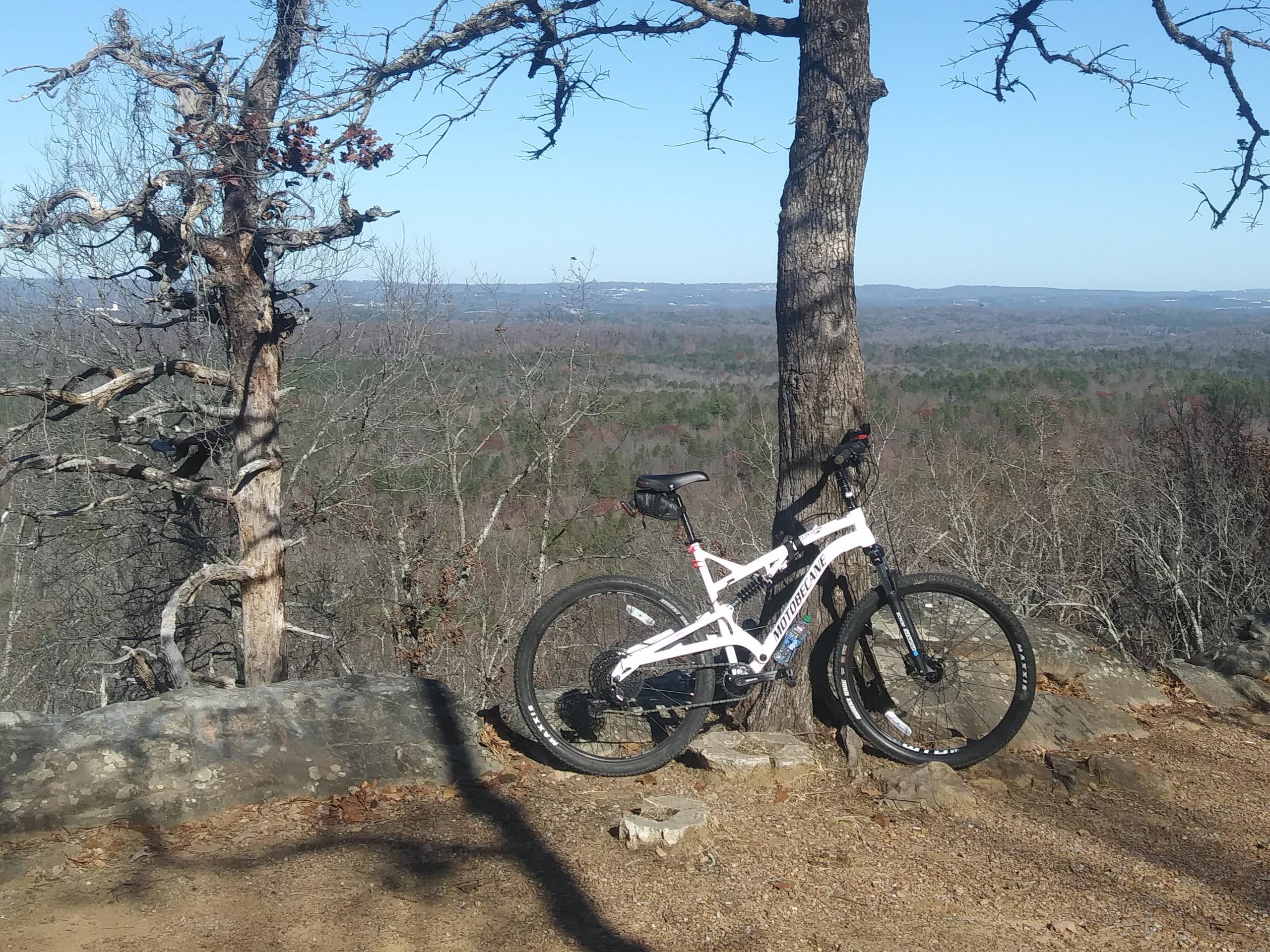 A white mountain bike resting against a tree, overlooking a scenic view of rolling hills and valleys on a clear day. The foreground features rocky terrain and sparse trees, with a bright blue sky above. Oak Mountain State Park mountain bike trail.