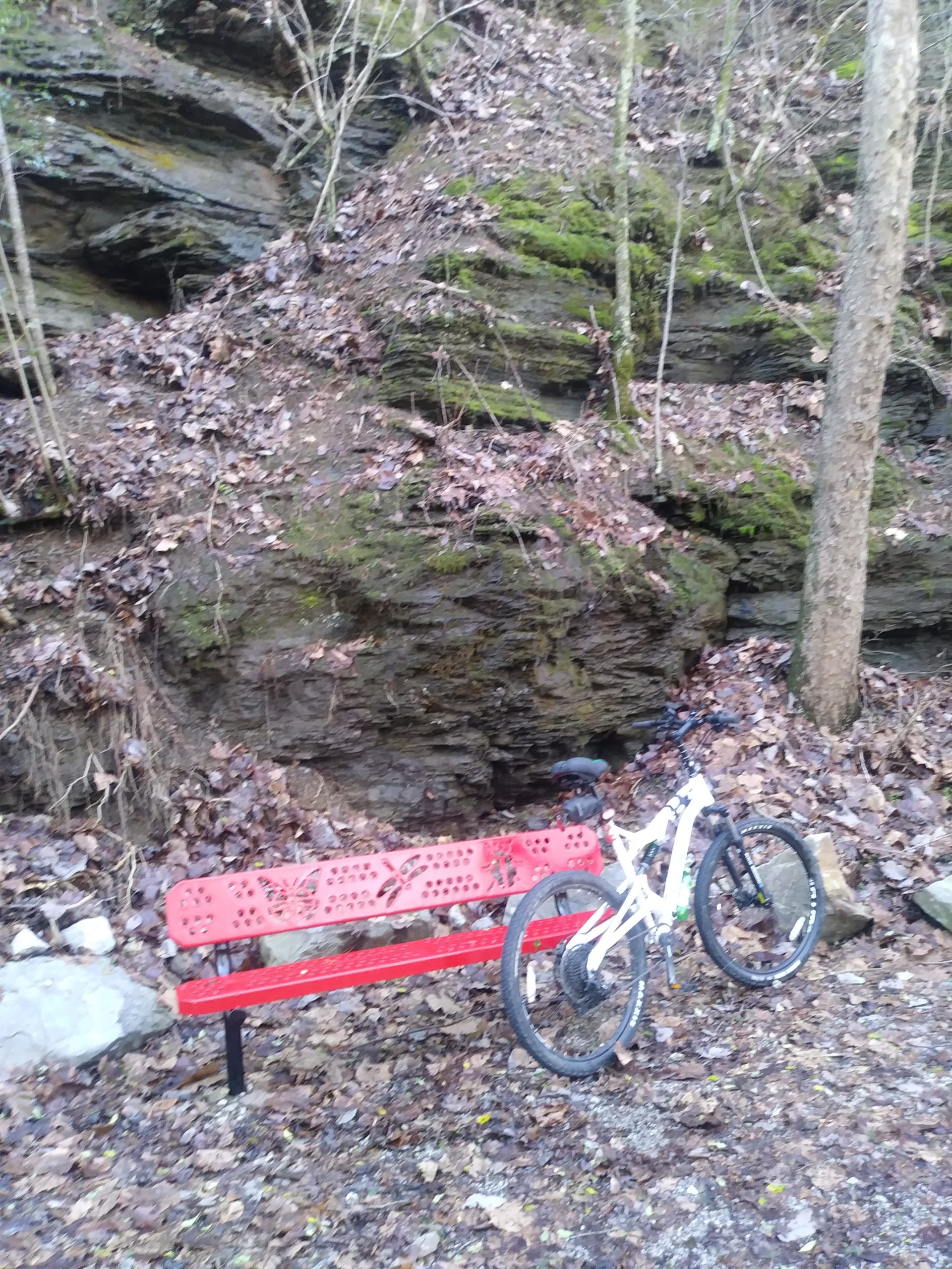 A red bench situated near a rocky outcrop, surrounded by fallen leaves and trees. A white mountain bike is leaned against the bench, complementing the natural setting. Oak Mountain State Park mountain bike trail.