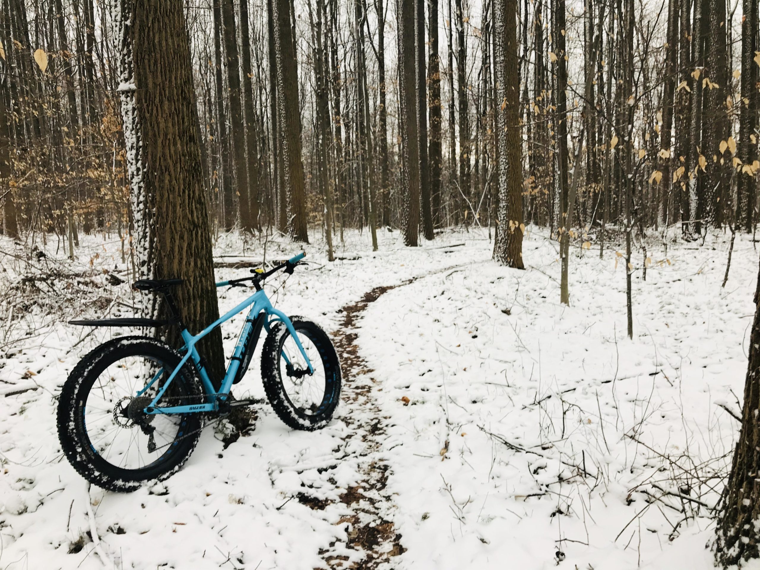A blue fat bike leaning against a tree on a snow-covered forest trail, surrounded by tall trees and a light dusting of snow on the ground. Some leaves are still clinging to branches in a winter landscape. Moraine State Park mountain bike trail.