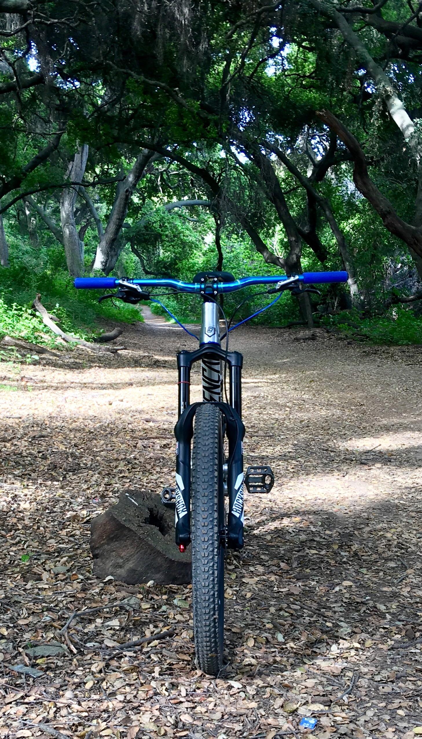 Commencal Meta AM V4: A mountain bike positioned upright on a dirt path, surrounded by lush green trees and foliage. The handlebars are blue, and the bike features a knobby tire, resting on a patch of leaves. A wooden stump is visible in the foreground, with a soft focus on the trail leading deeper into the woods.