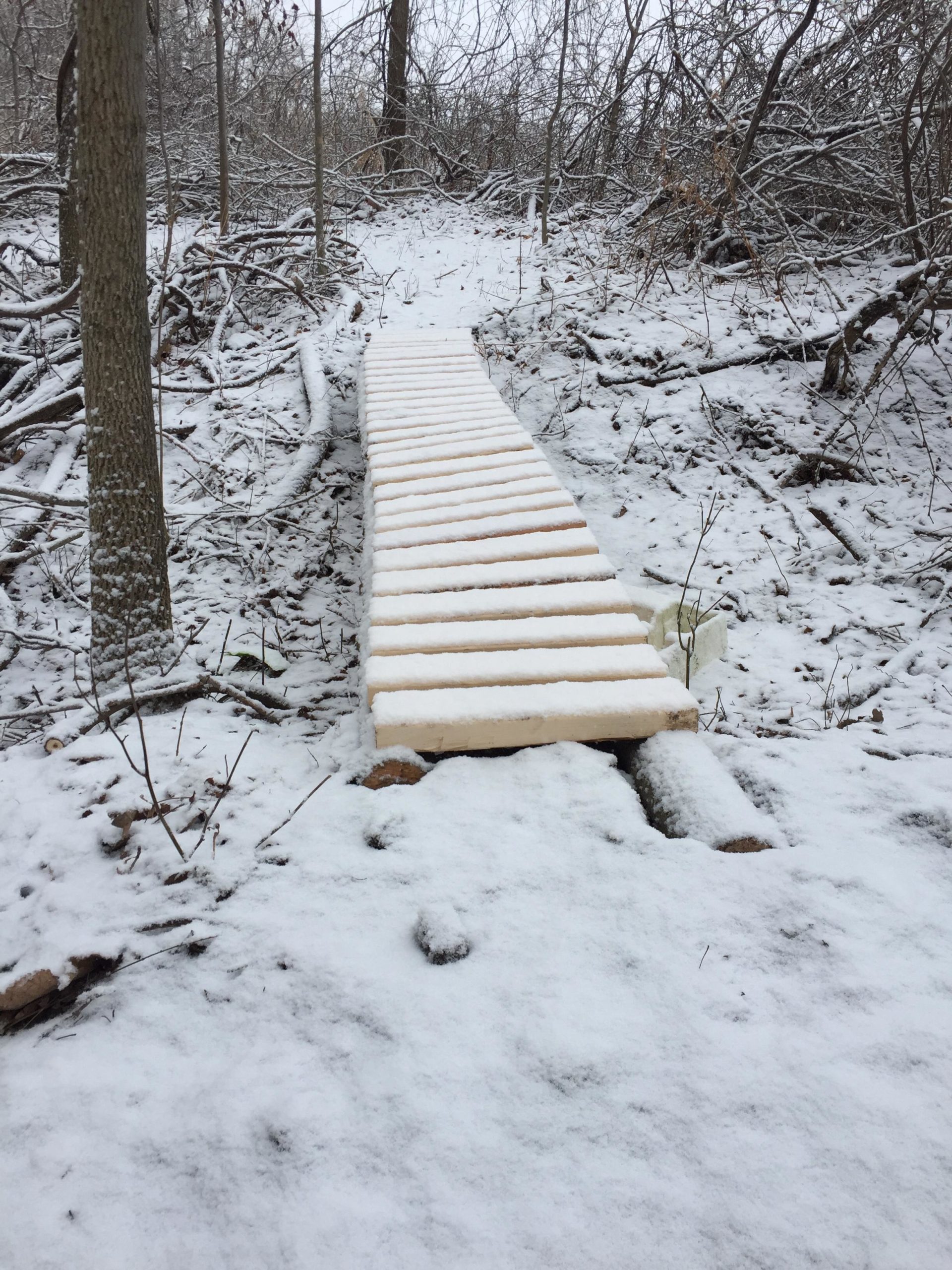 A wooden plank pathway covered in snow, situated in a wooded area with trees and scattered branches. The path leads through the snow-covered ground, creating a serene winter scene. Swance Drain mountain bike trail.