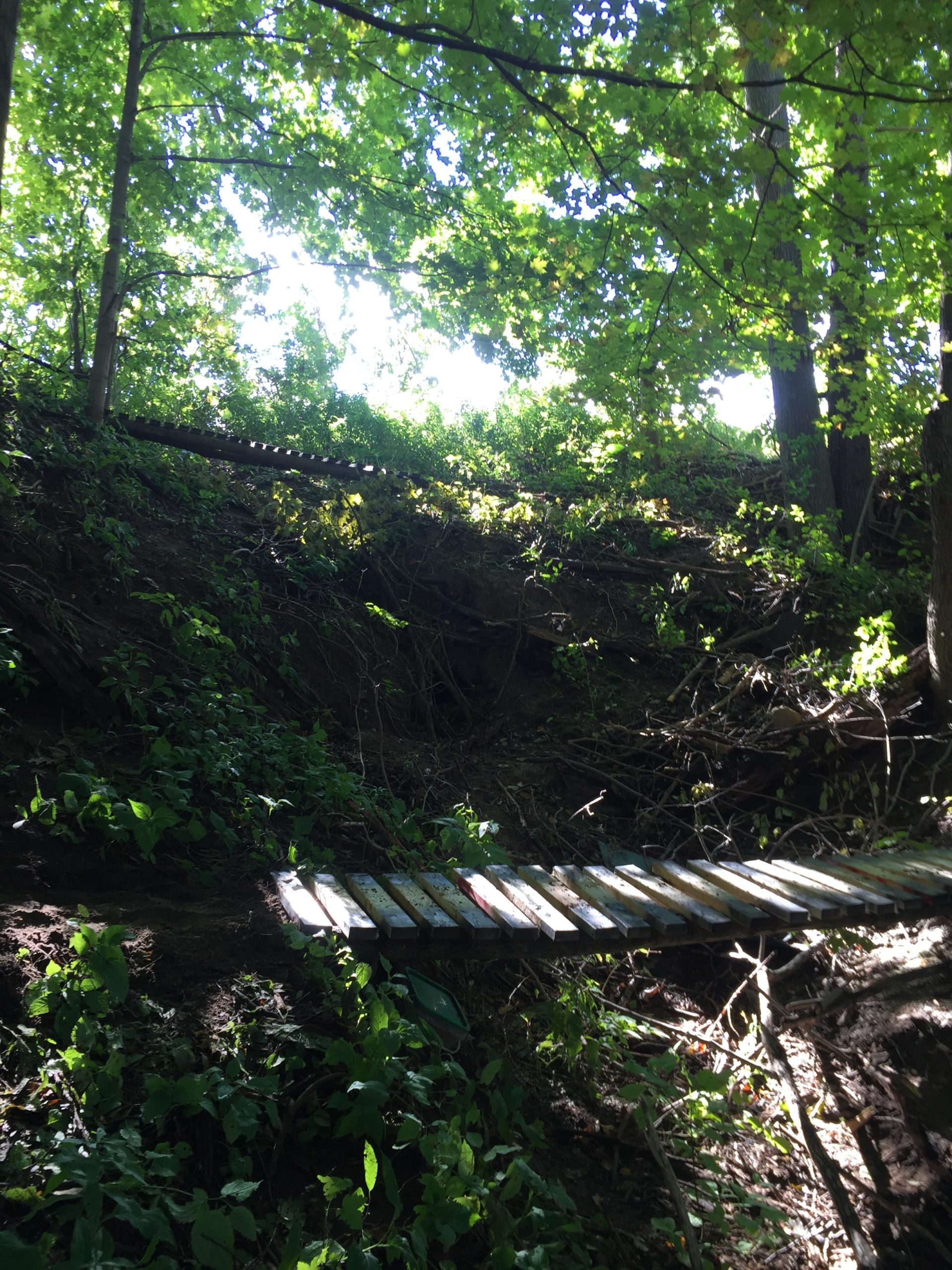 A wooden bridge spans a small ravine in a lush, green forest, with sunlight filtering through the thick canopy of leaves above. The ground is covered in various plants and underbrush, creating a vibrant natural setting. Swance Drain mountain bike trail.