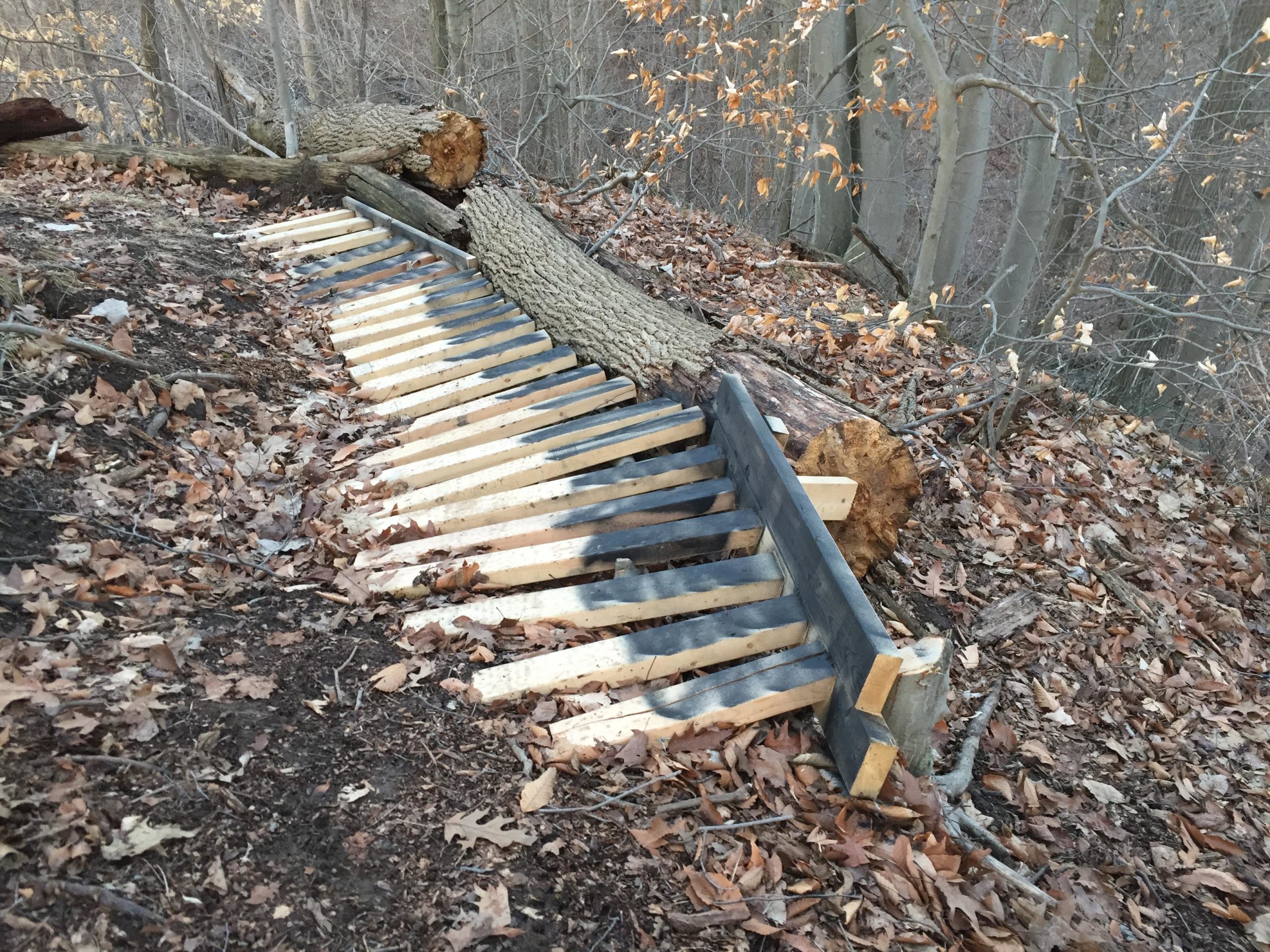 A wooden structure resembling a fence is seen on a hillside, constructed from slats of wood placed at an angle. A fallen tree trunk lies nearby, with a cross-section view visible. The ground is covered with dry leaves and dirt, indicating a forested area in autumn. The background features bare trees with a few remaining leaves. Swance Drain mountain bike trail.
