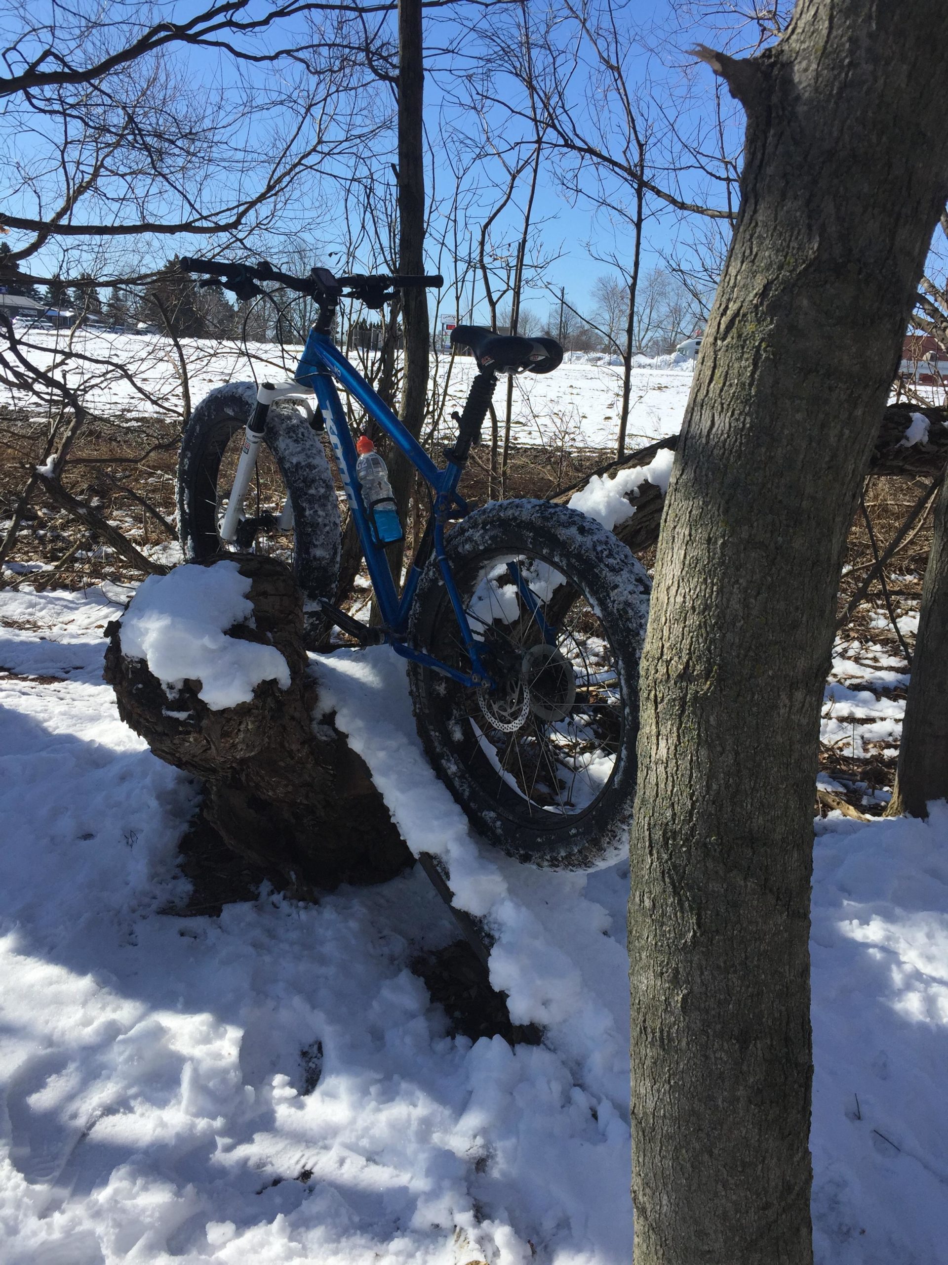 A blue fat bike with wide tires is parked on a snow-covered log, surrounded by bare trees. A bottle of water is attached to the frame, and the background features a clear blue sky and open fields blanketed in snow. Swance Drain mountain bike trail.