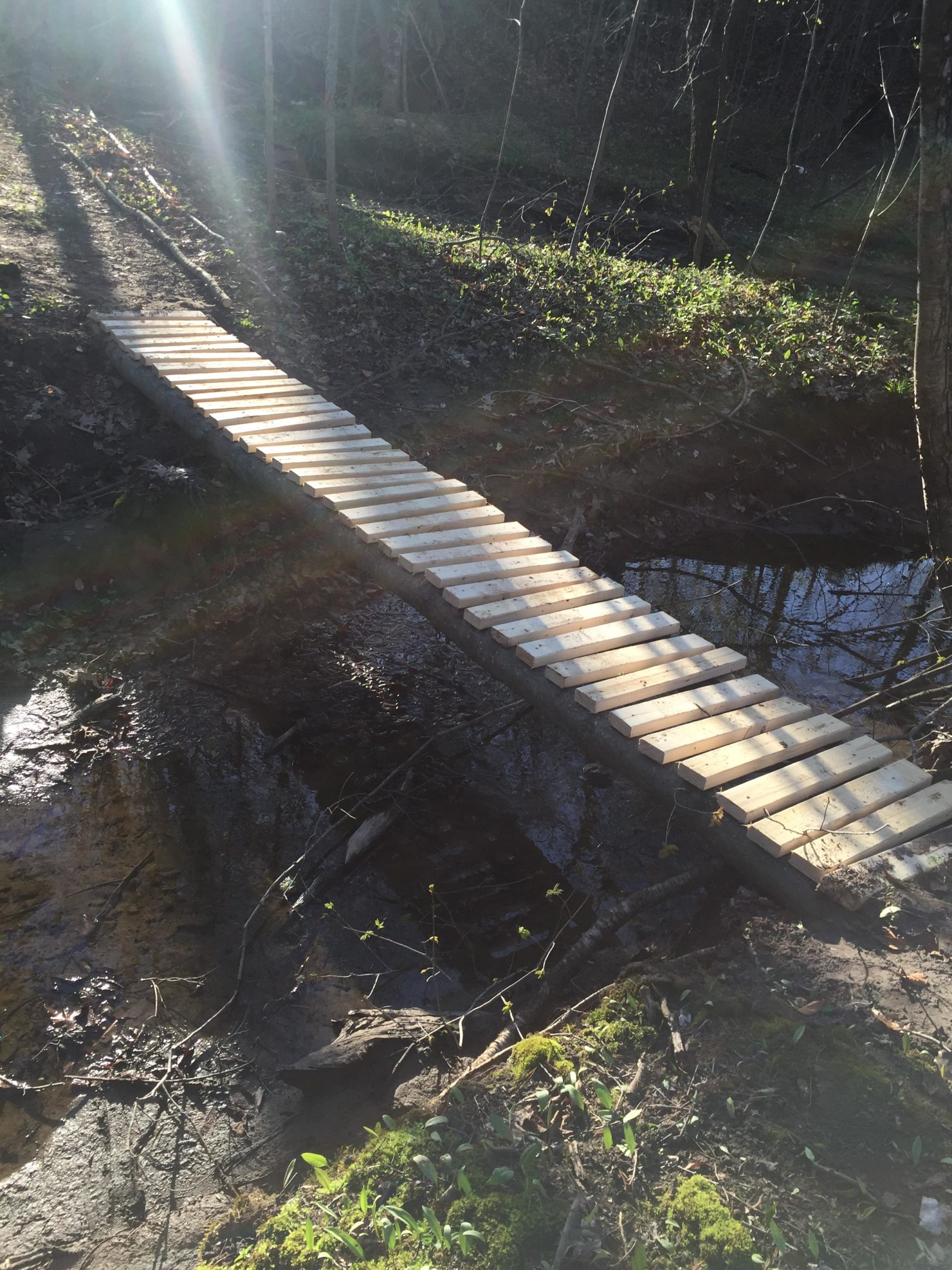 A wooden footbridge spans a shallow stream in a wooded area, surrounded by green foliage and dappled sunlight filtering through trees. The ground is earthy, with patches of moss and fallen leaves visible. Swance Drain mountain bike trail.