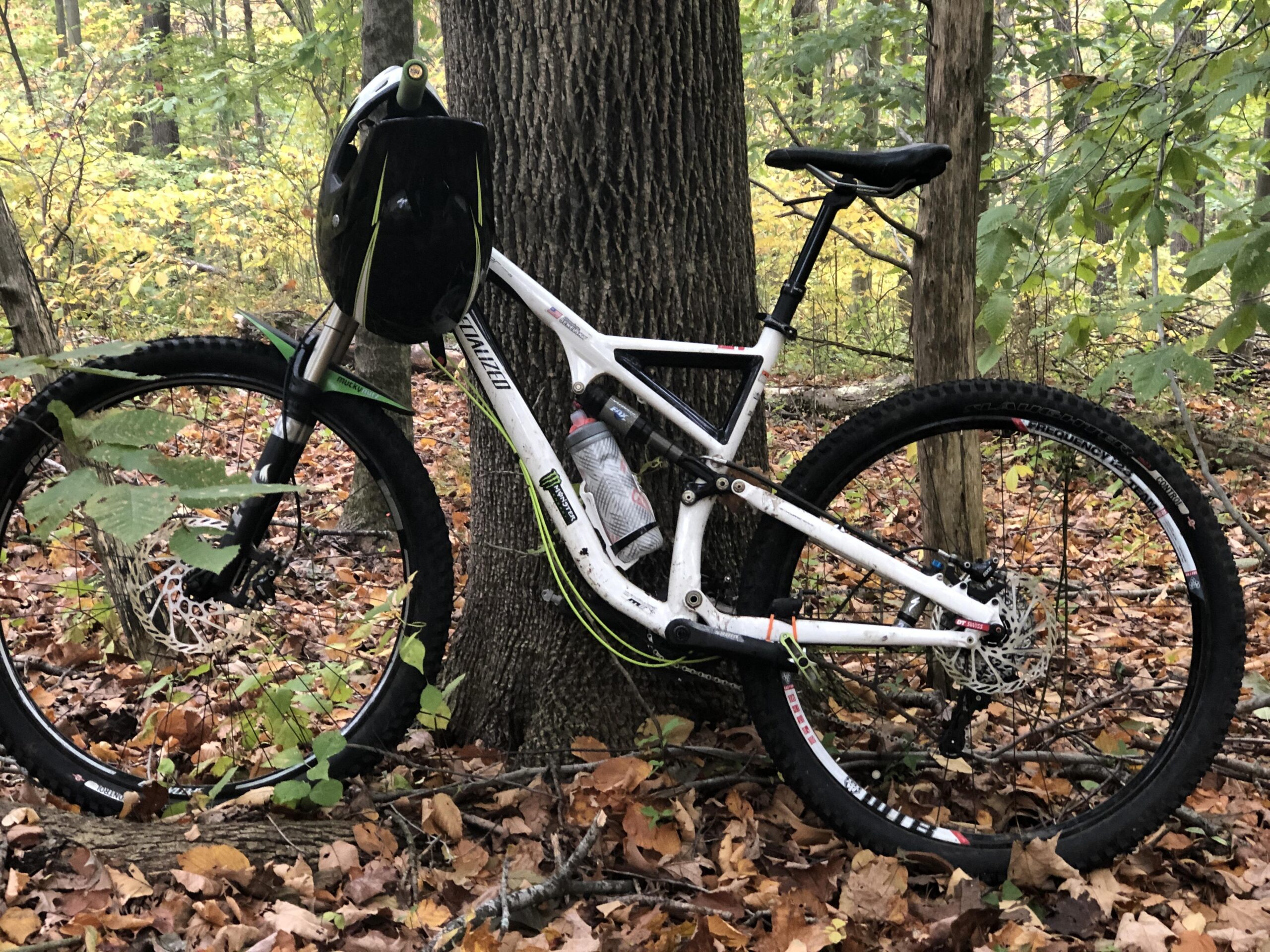 Specialized Stumpjumper FSR 29: A mountain bike with a black helmet resting on it, leaning against a tree in a forested area covered with fallen leaves. The surrounding trees show hints of autumn foliage.