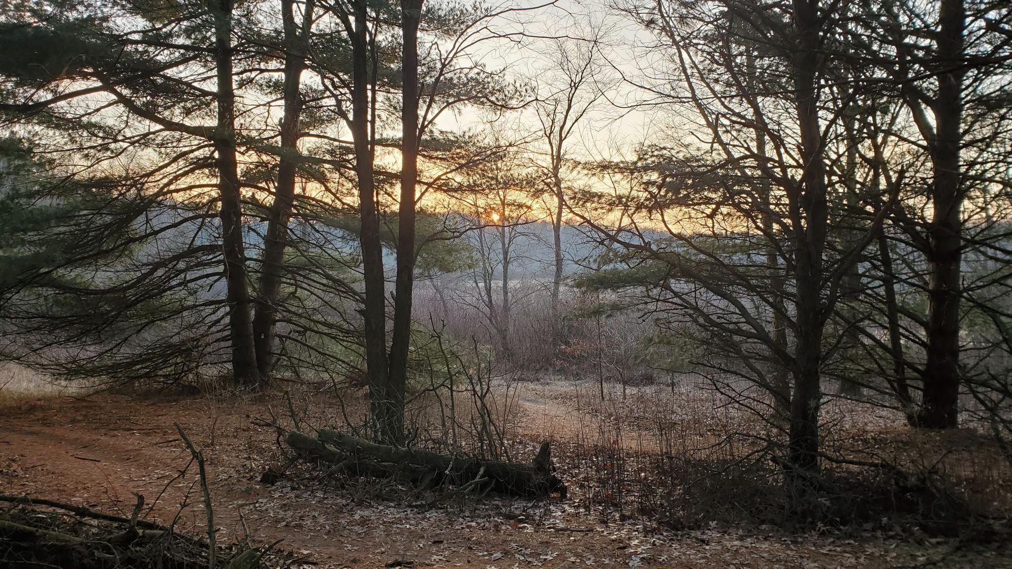 A serene forest scene at sunset, featuring silhouettes of tall trees with sparse leaves. The sun is setting in the background, casting a warm glow over the landscape, which includes a winding dirt path and a mix of dried grass and fallen leaves. The overall atmosphere is calm and tranquil. Bonneyville Mill mountain bike trail.
