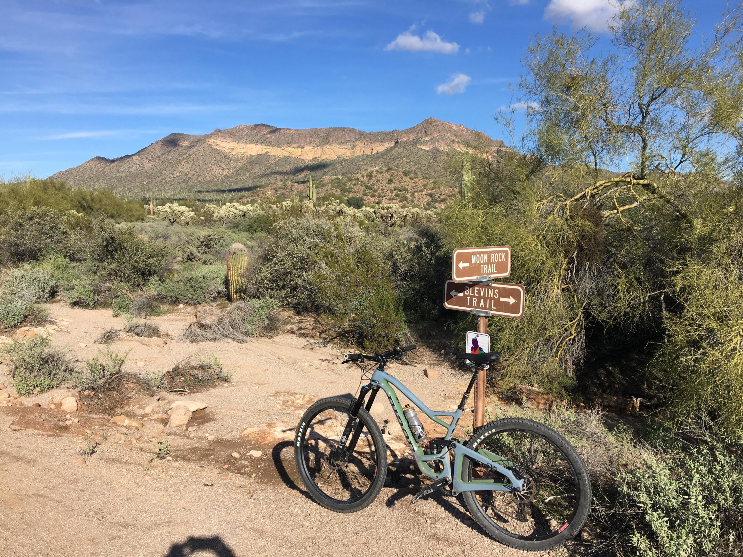 Niner RIP 9: A mountain bike resting on a gravel path next to a trail sign for Moon Rock Trail and Blevins Trail, with a desert landscape featuring green shrubs and cacti set against a backdrop of mountains under a clear blue sky.