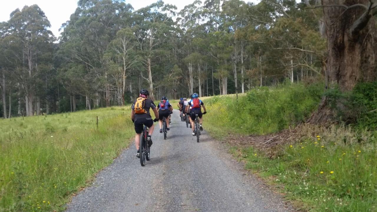 A group of five mountain bikers riding on a gravel path through a lush, green landscape, lined with tall trees and wildflowers. The scene captures the participants from behind as they navigate the scenic trail in a natural setting. Big Chook mountain bike trail.