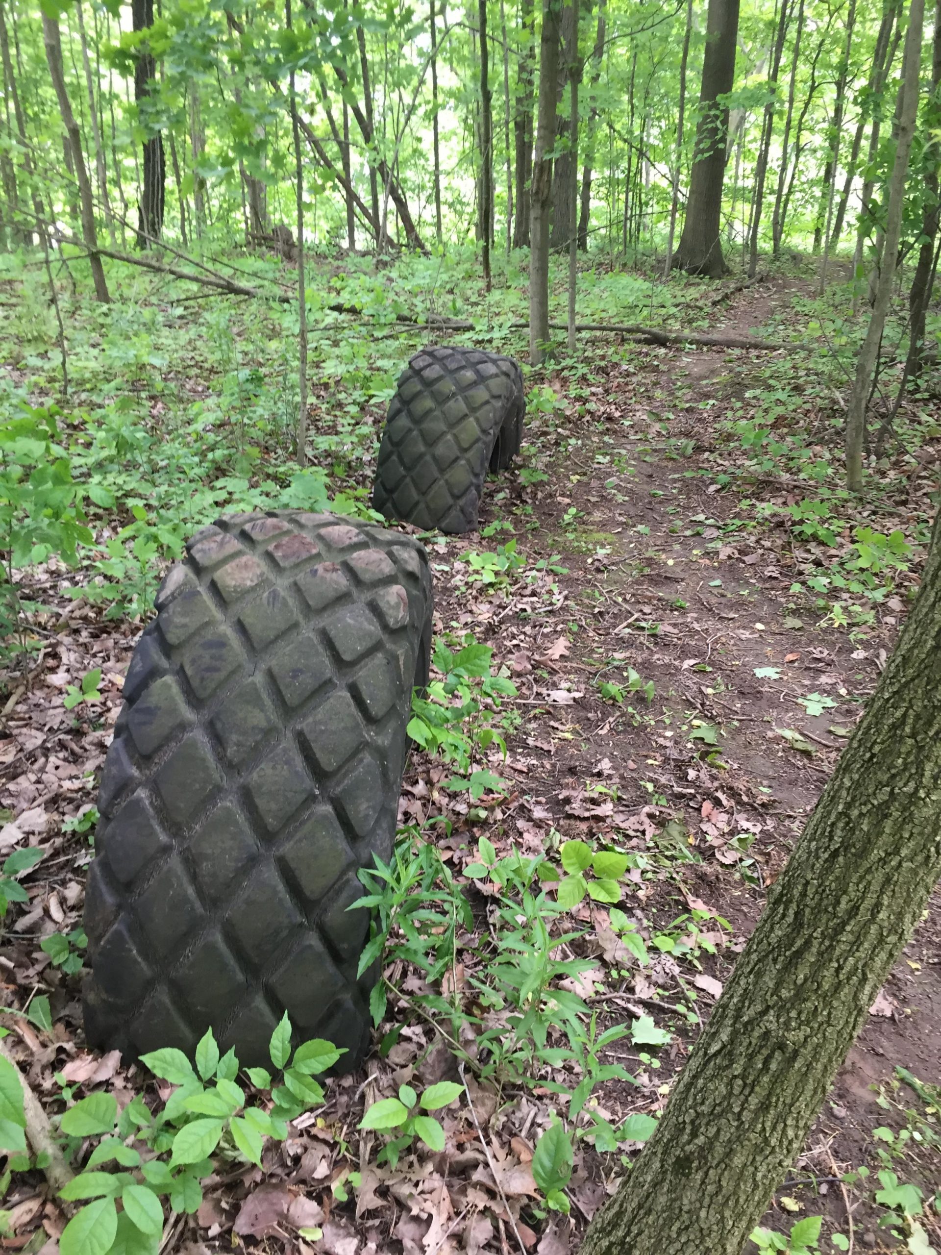 Two large, worn-out tires lay on the forest floor, surrounded by greenery and leafy underbrush. The path is partially visible in the background, leading deeper into the woods. Swance Drain mountain bike trail.