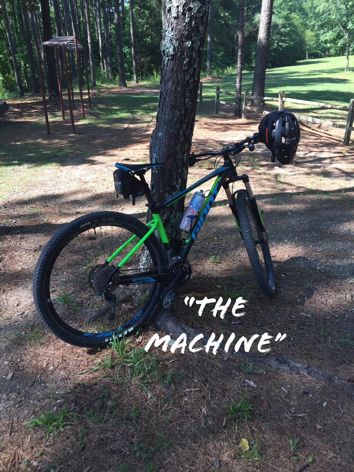 Giant Anthem X 29er 1: A mountain bike with a green and black color scheme is leaning against a tree in a wooded area. A water bottle is attached to the bike, and a helmet is resting on the handlebars. The background features tall trees and a grassy area, indicating a recreational outdoor setting. The text overlay reads "THE MACHINE."