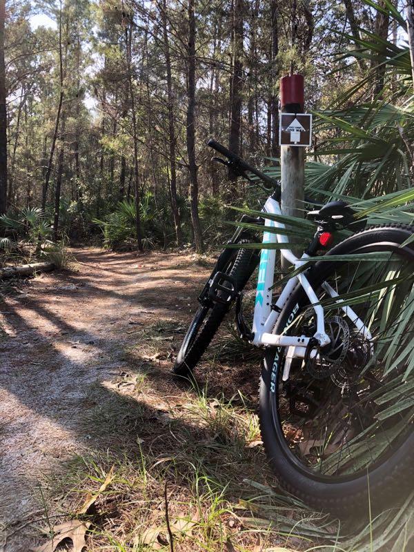 A mountain bike leaning against a trail marker in a wooded area, surrounded by tall trees and lush greenery. The path ahead is partially visible, leading into the forest. Turkey Creek mountain bike trail.