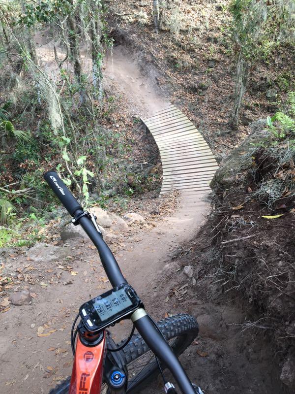 Alt text: A close-up view of a mountain bike handlebar with a digital display, overlooking a winding dirt trail that features a wooden bridge. Surrounding the path is dense forest with fallen leaves and rocks, suggesting a natural outdoor setting for biking. Alafia River State Park mountain bike trail.