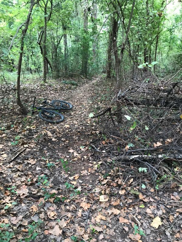 A narrow, leaf-covered path runs through a dense forest, surrounded by green foliage and tall trees. To the left, two bicycle wheels are resting on the ground, while to the right, a pile of branches and twigs is visible. The scene conveys a sense of nature and tranquility. Stoner Park mountain bike trail.
