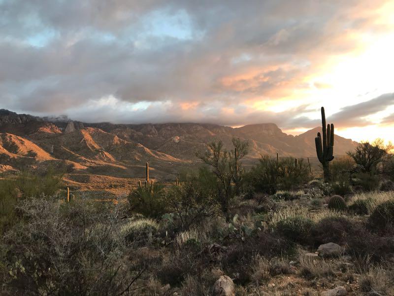 A scenic view of a desert landscape at sunset, featuring rugged mountain ranges in the background lit by warm sunlight. The foreground includes various cacti and desert vegetation, with a colorful sky filled with clouds transitioning from orange to blue. 50-year Trail / Golder Ranch mountain bike trail.