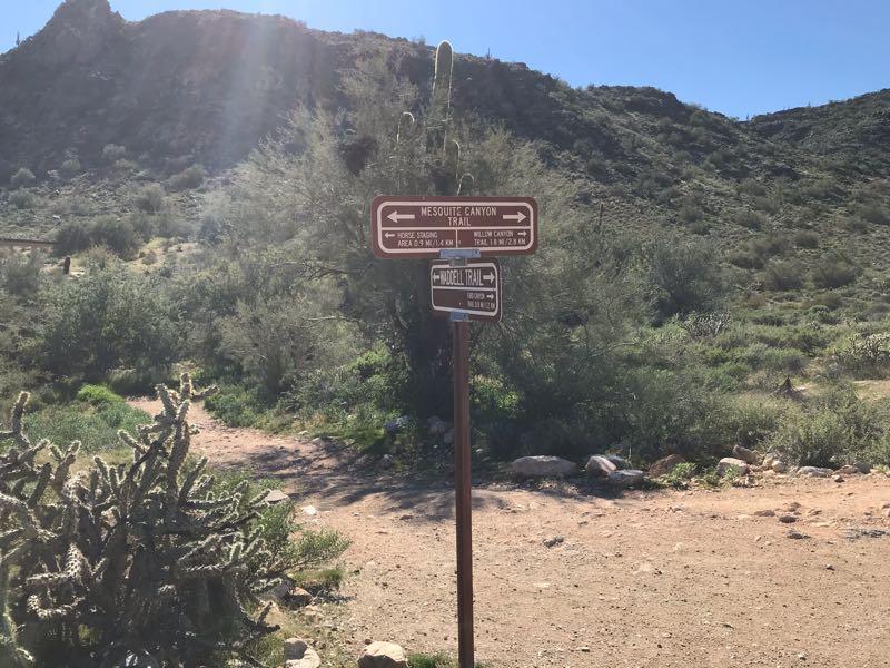 Trail sign at a desert pathway indicating directions to Mesquite Canyon Trail and the Mitchell Trail, surrounded by desert vegetation and hills in the background. White Tanks Competitive Track mountain bike trail.