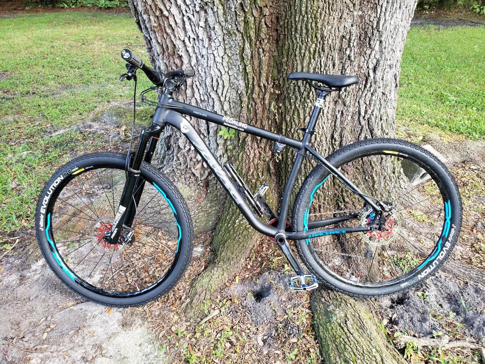 Salsa Timberjack: A mountain bike leaning against a large tree, featuring black and turquoise accents, with thick tires designed for off-road terrain. The bike is positioned on a patch of grass, showcasing its durable frame and braking system.