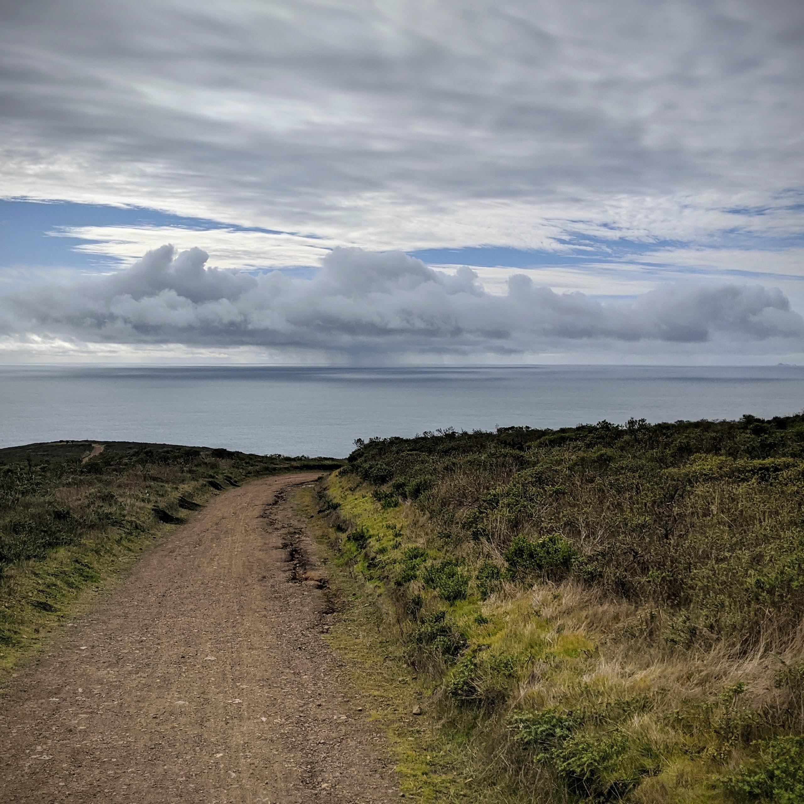 A dirt path winding through grassy terrain with a view of the ocean and cloudy sky in the distance. Coyote Ridge mountain bike trail.