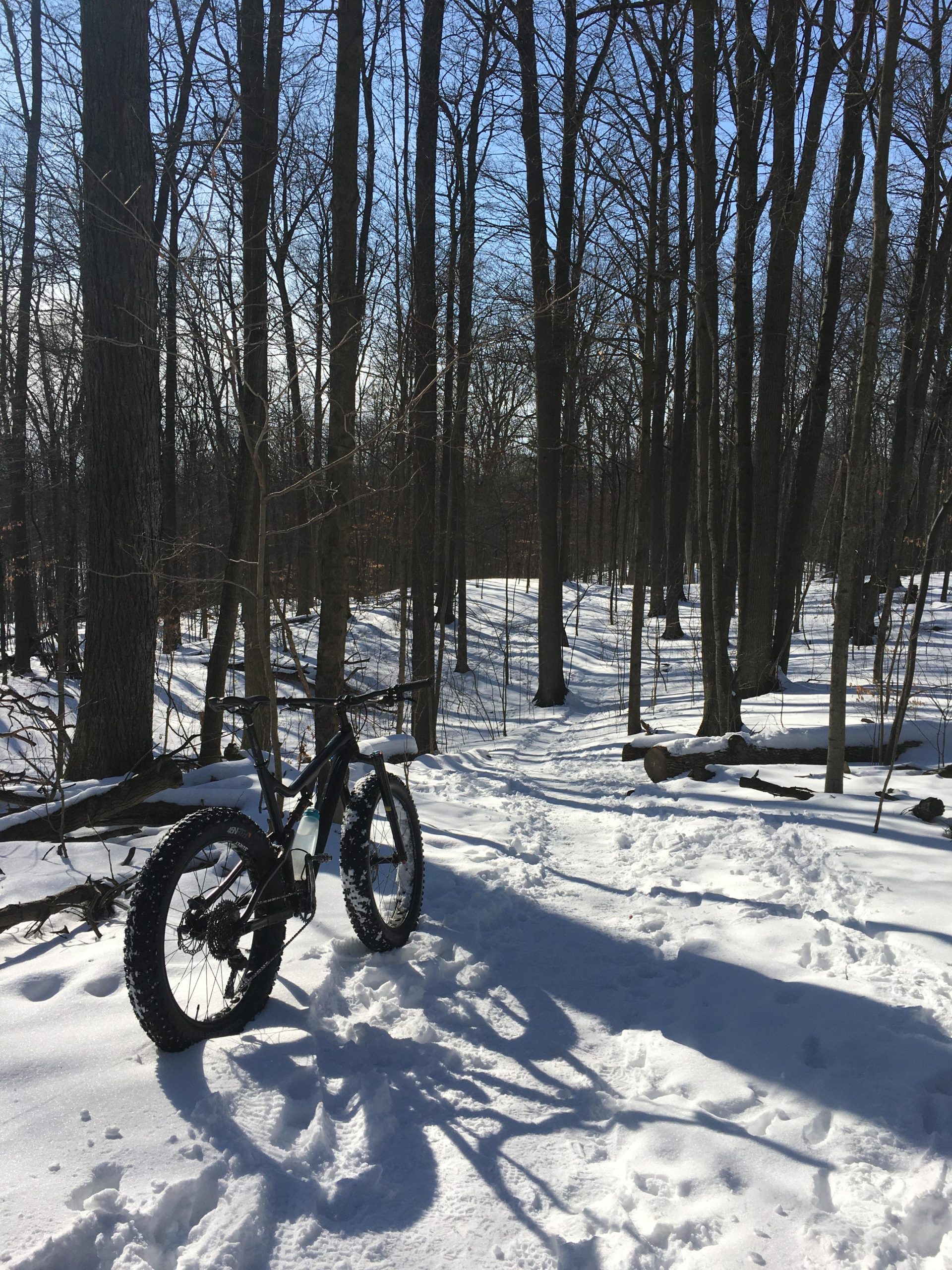 A fat bike resting on a snowy trail in a wooded area, with tall, bare trees surrounding it and a clear blue sky in the background. The scene captures the tranquility of winter in the forest, with fresh snow covering the ground and tracks leading further along the path. Dryden Tract mountain bike trail.